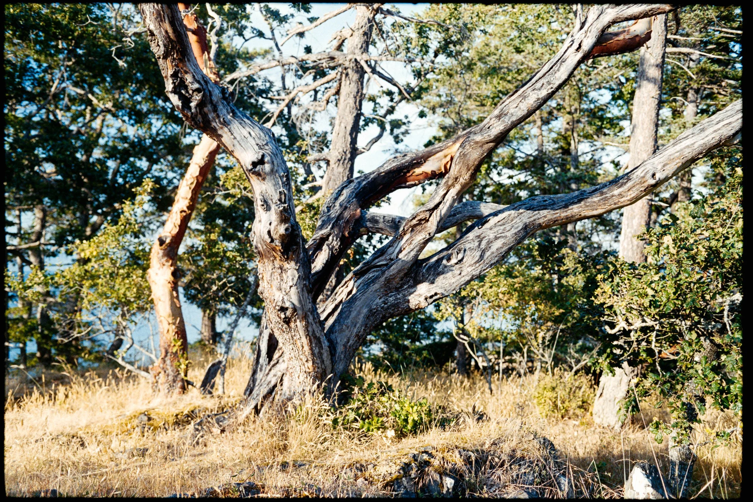 RFerand_C114-Elan7-Superia200_25_Neck Point_SD_WEB.jpg