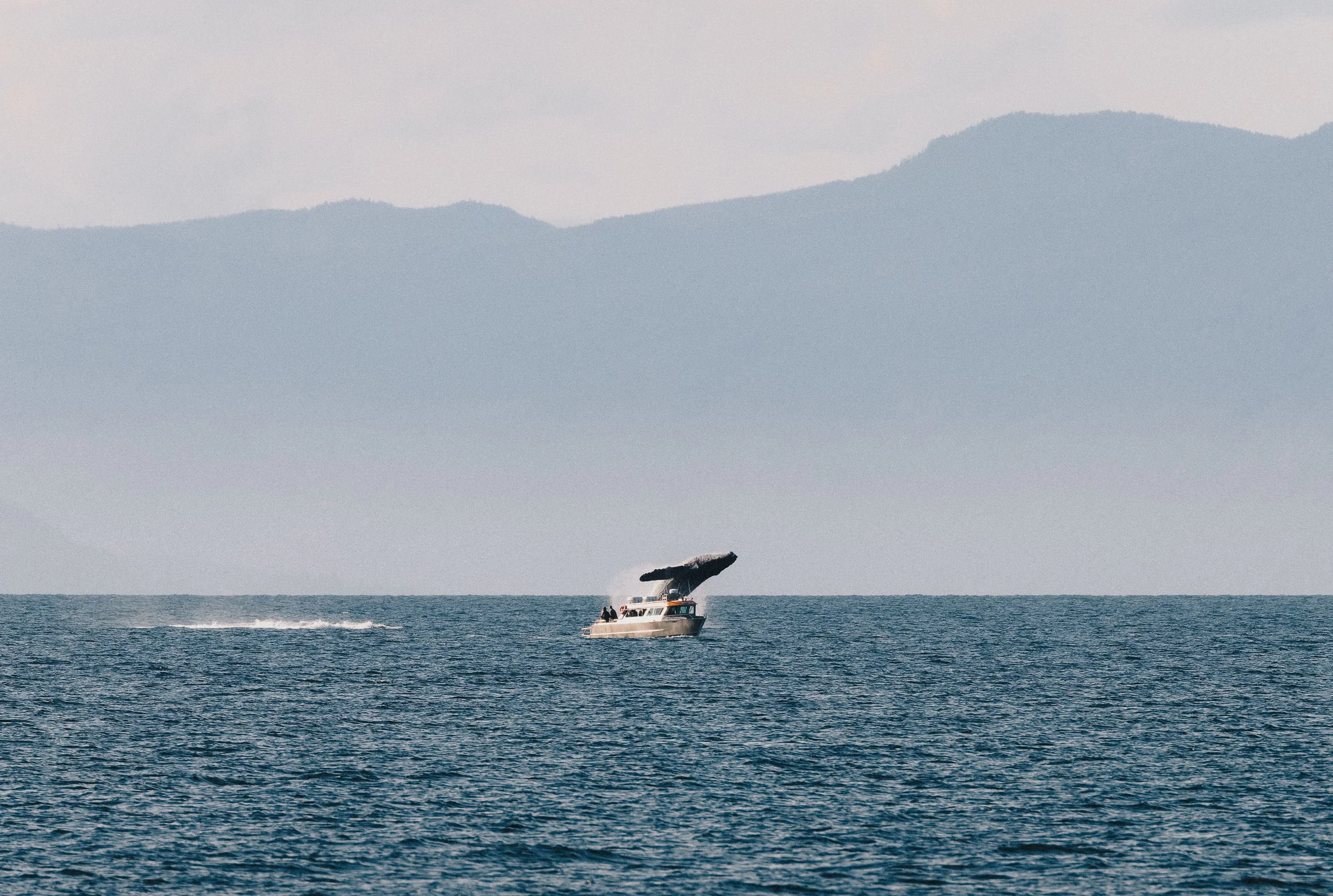 20250702-RFerand_20250702_R5_9314-DxO_Humpbacks - Neck Point Park_SD.jpg