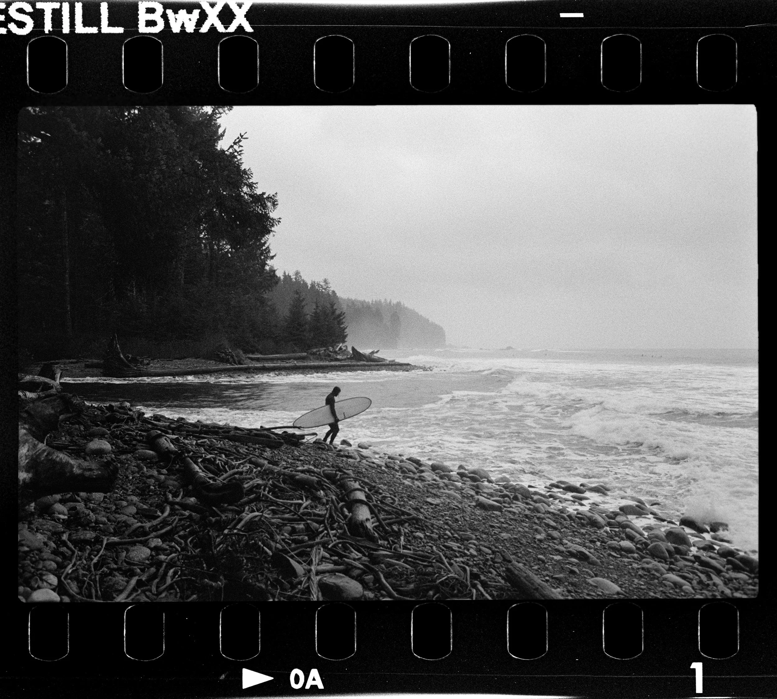 A black and white photograph taken with a film camera showing a coastal scene with trees, rocks, and a person with a surfboard near the water, on a foggy or overcast day.