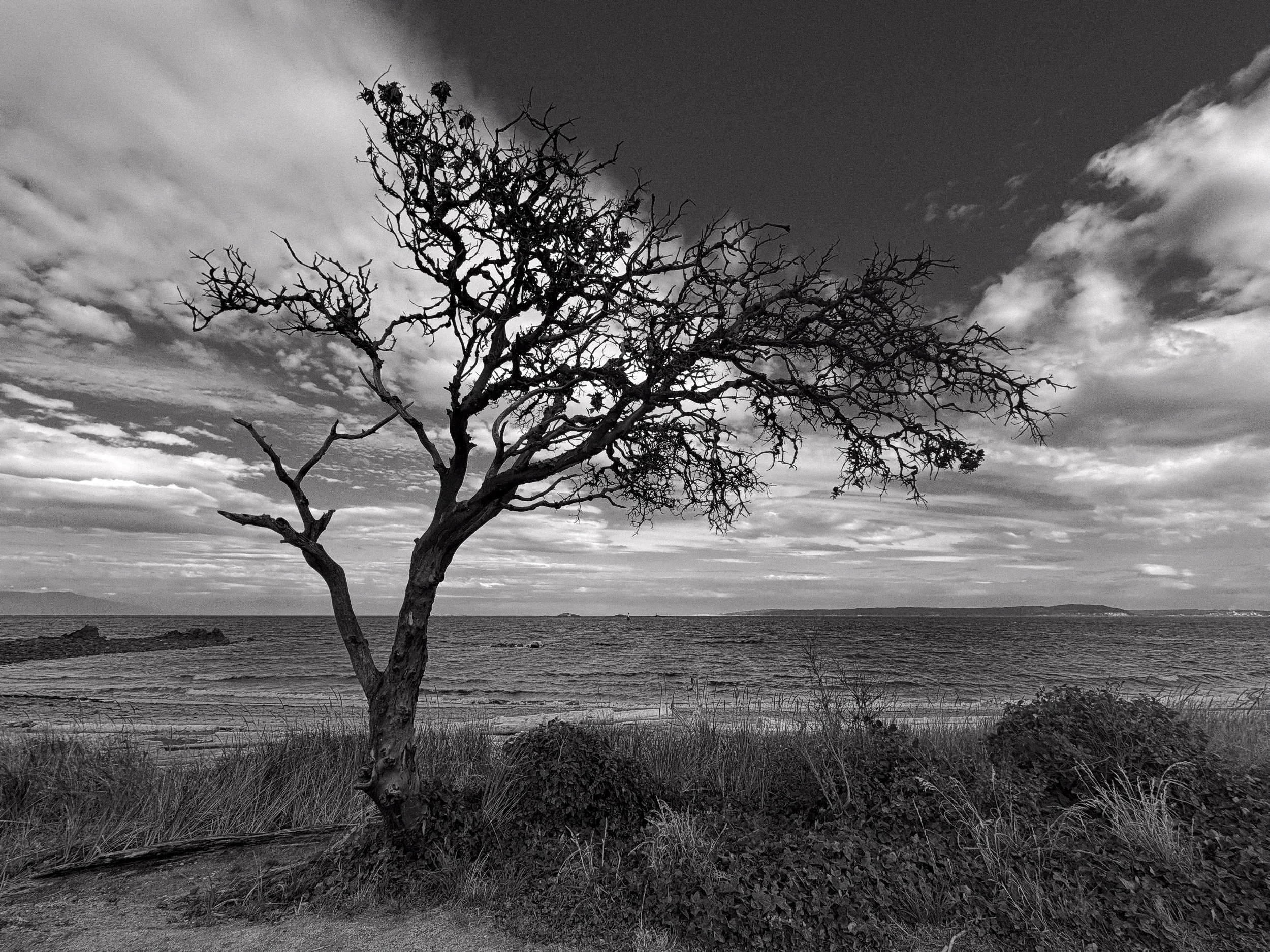 260901-RF-C1-4080-Pipers Lagoon-SD.jpg