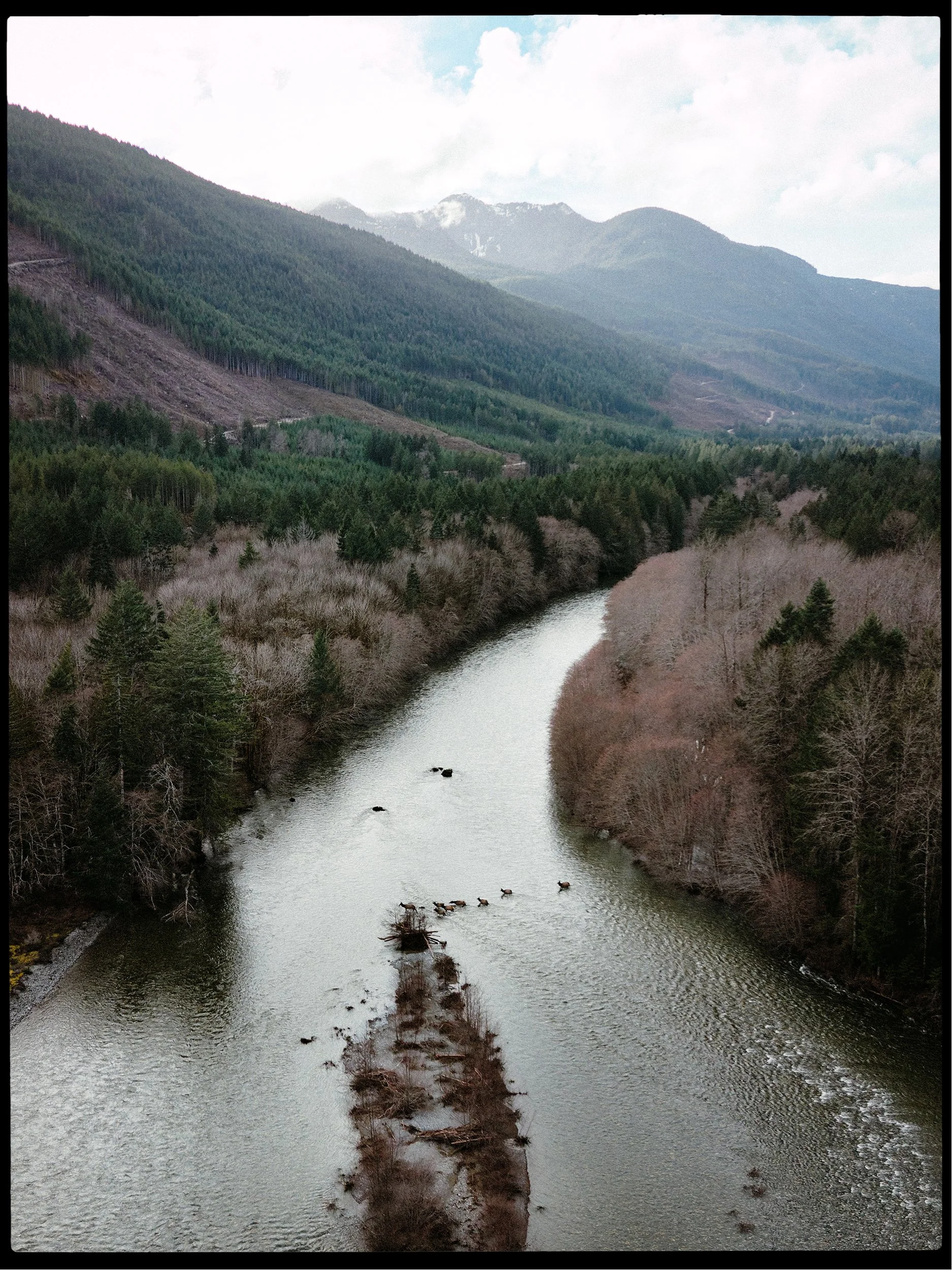 260208-RF-D1-0013a-DxO-Nanaimo Lakes-HD.jpg
