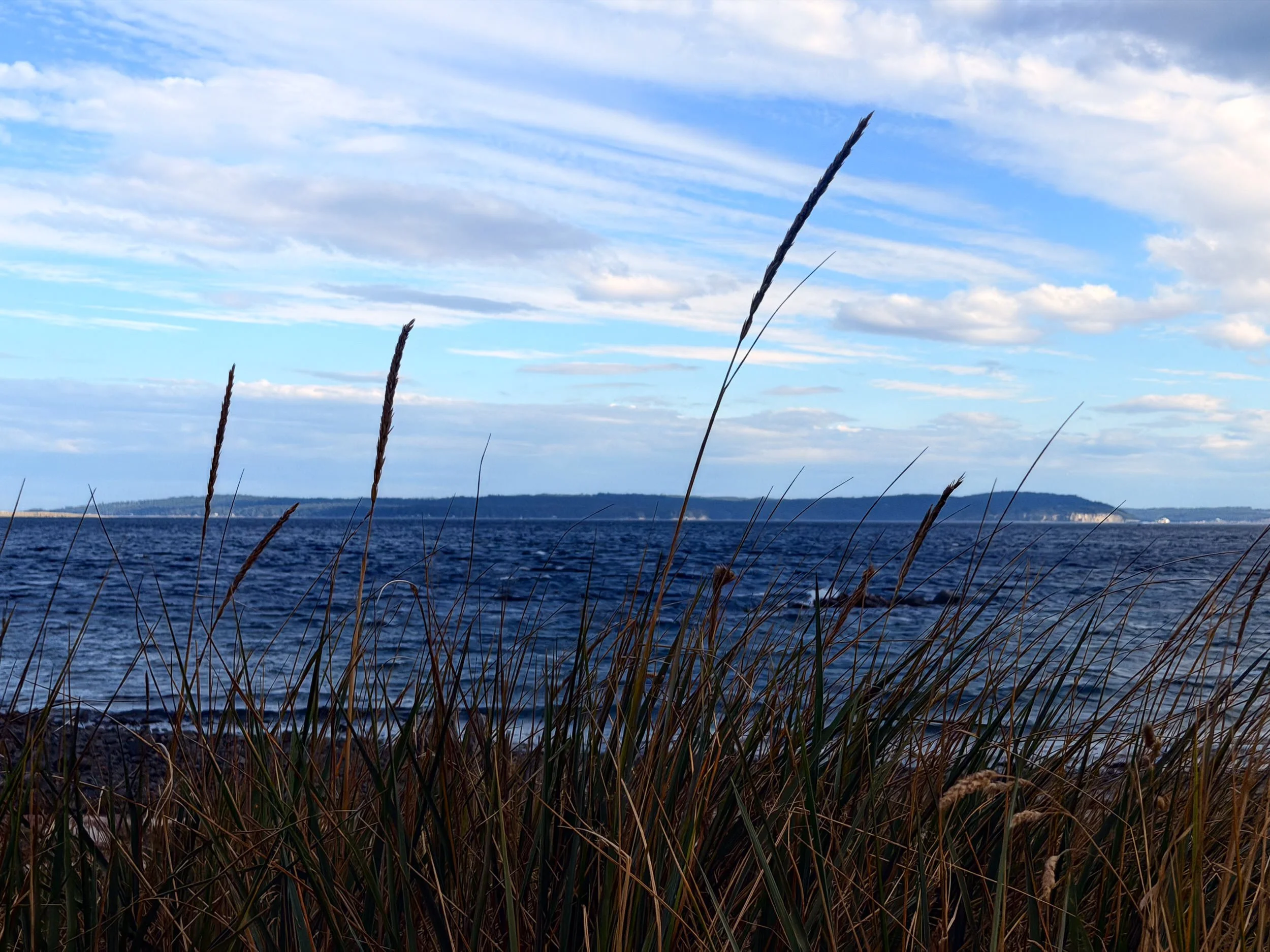 260901-RF-C1-4075-Pipers Lagoon-SD.jpg