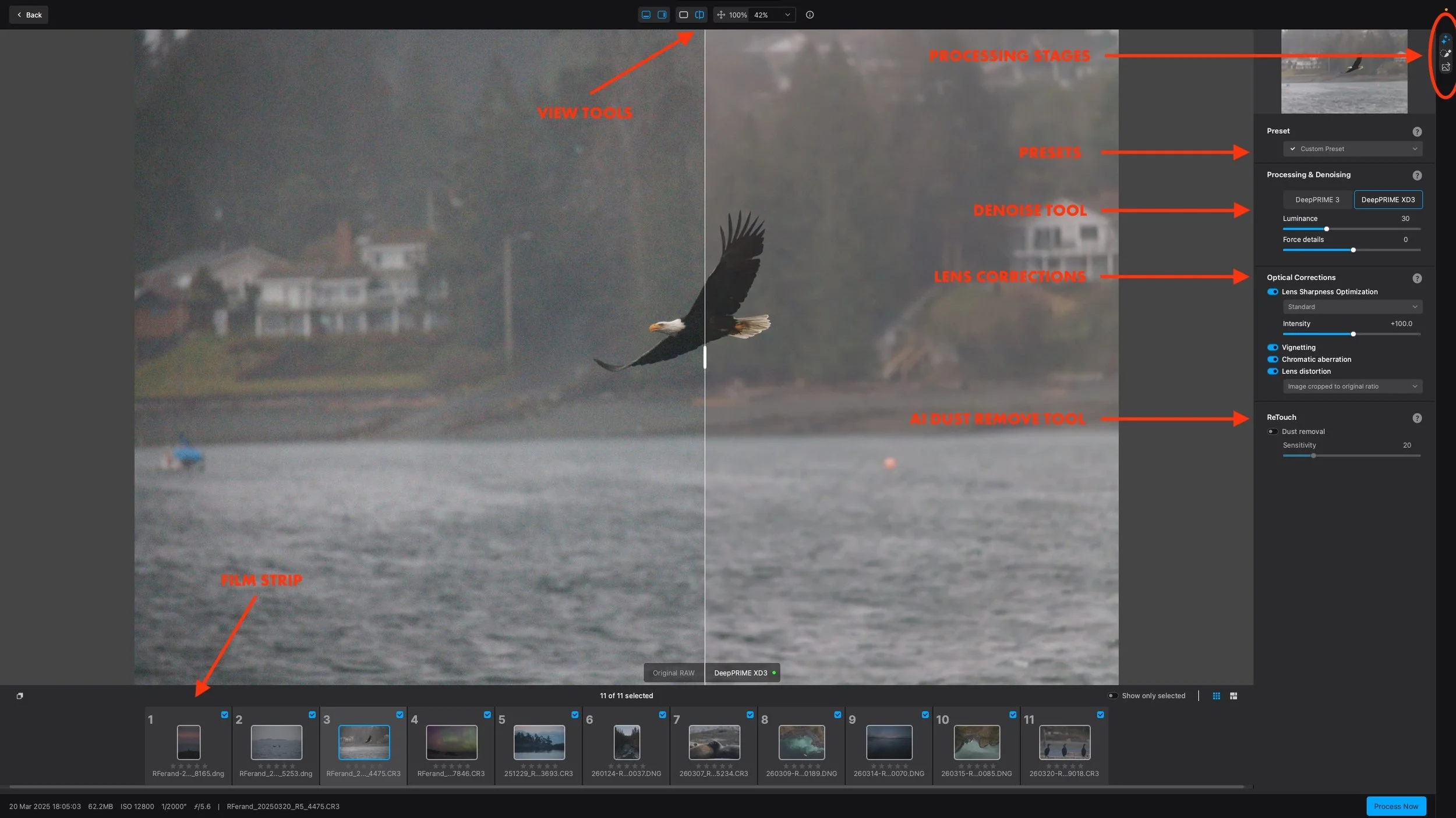 DxO PureRaw 6 Interface_1.jpeg
