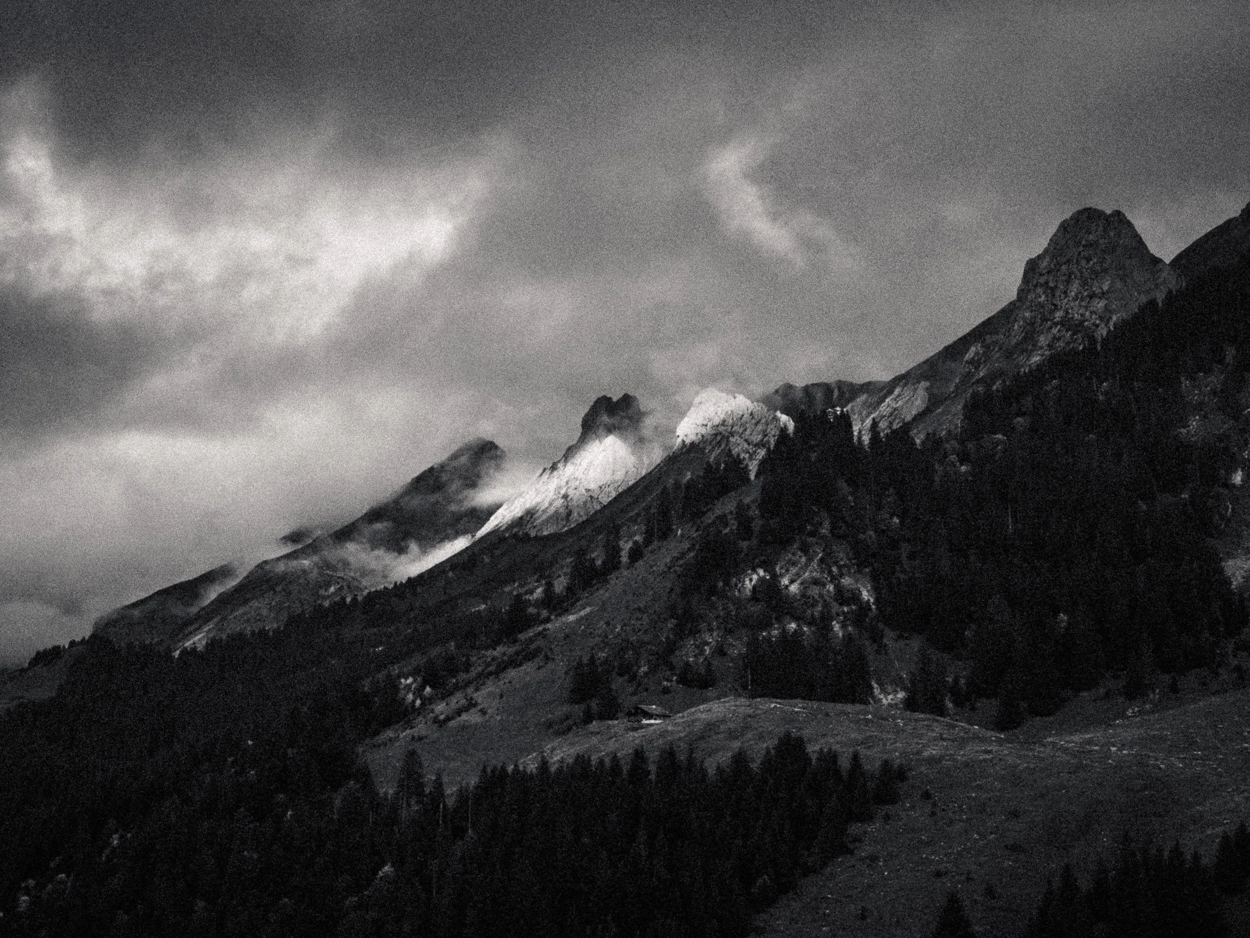 RFerand_20251005_IMG_0494_Les Confins_SD_WEB-2.jpg