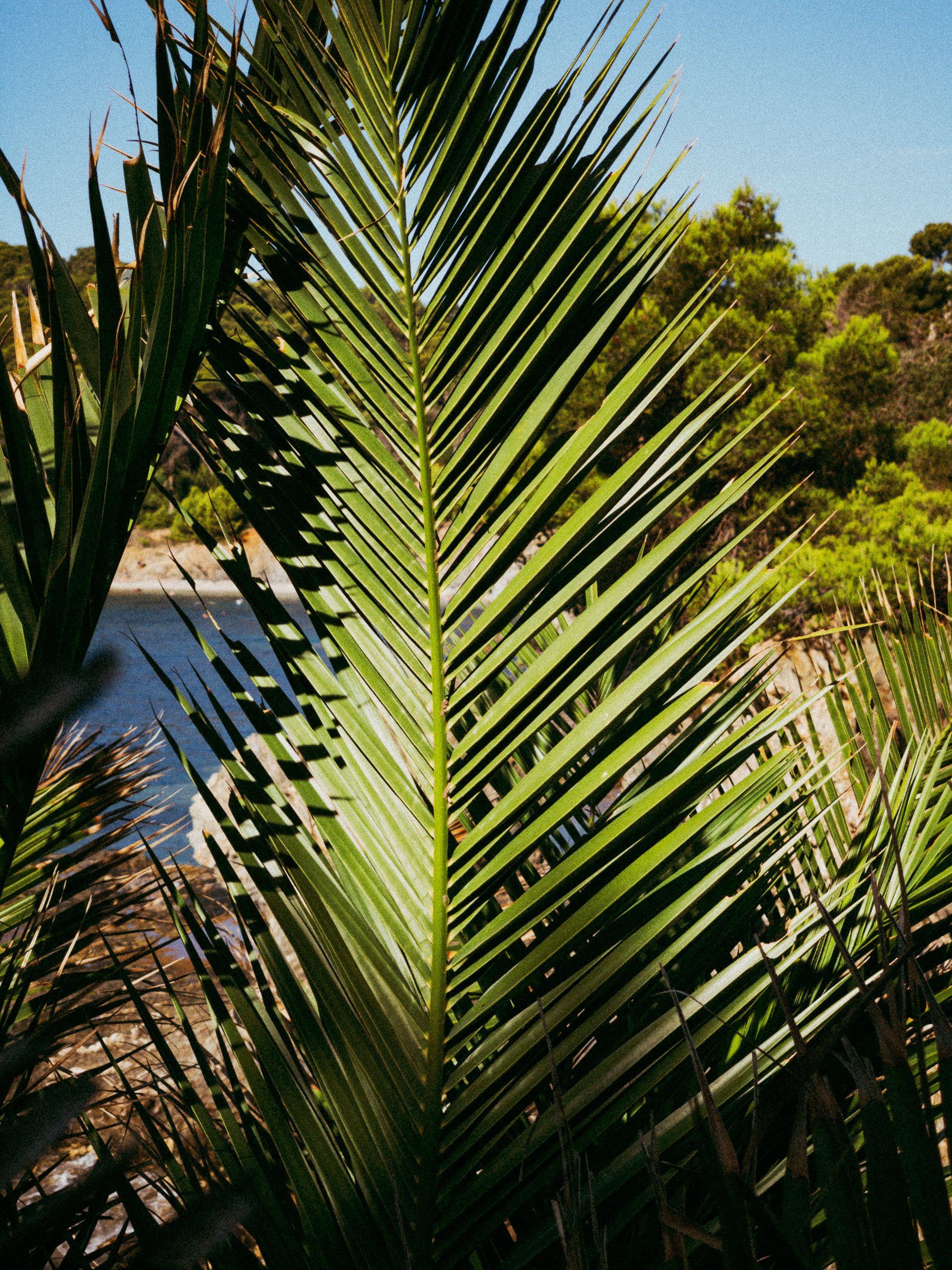 RFerand_20250918_IMG_0378_Plage des Darboussières_SD_WEB.jpg