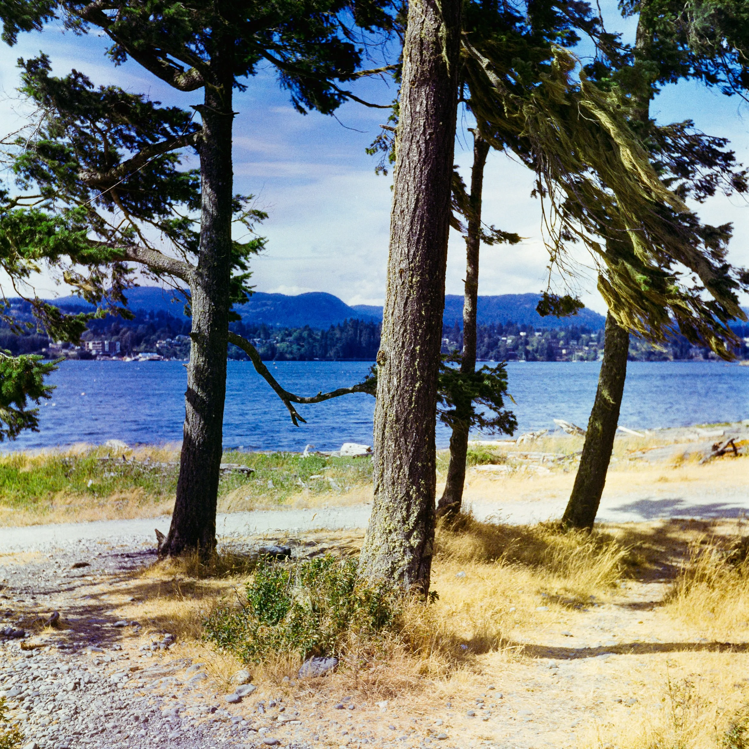 RFerand_C116_Yashica_PhoenixII_06_Sooke, BC_SD_WEB.jpg
