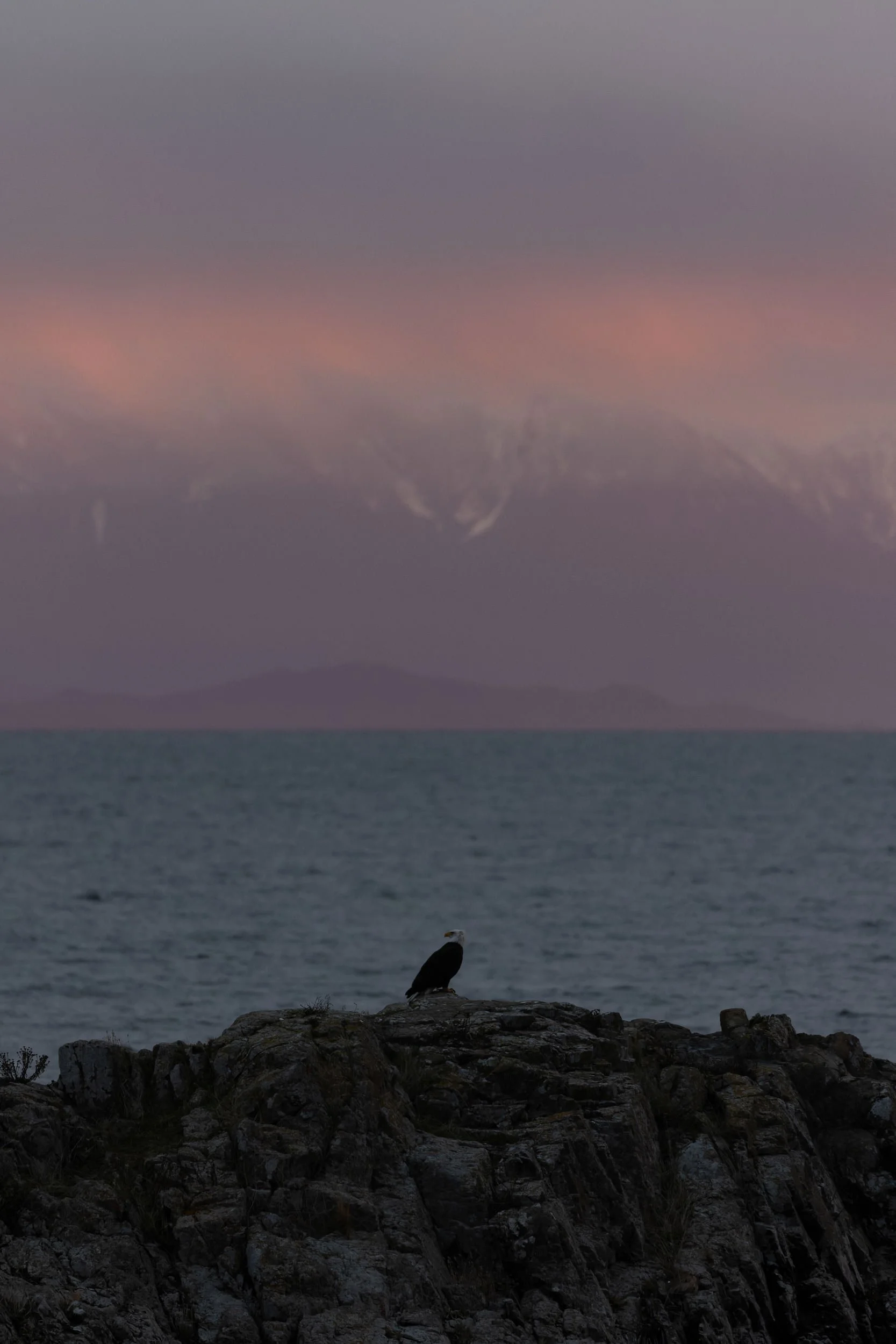RFerand-20230104_R5_8165-DxO-Sunrise from Neck Point Park-SD.jpg