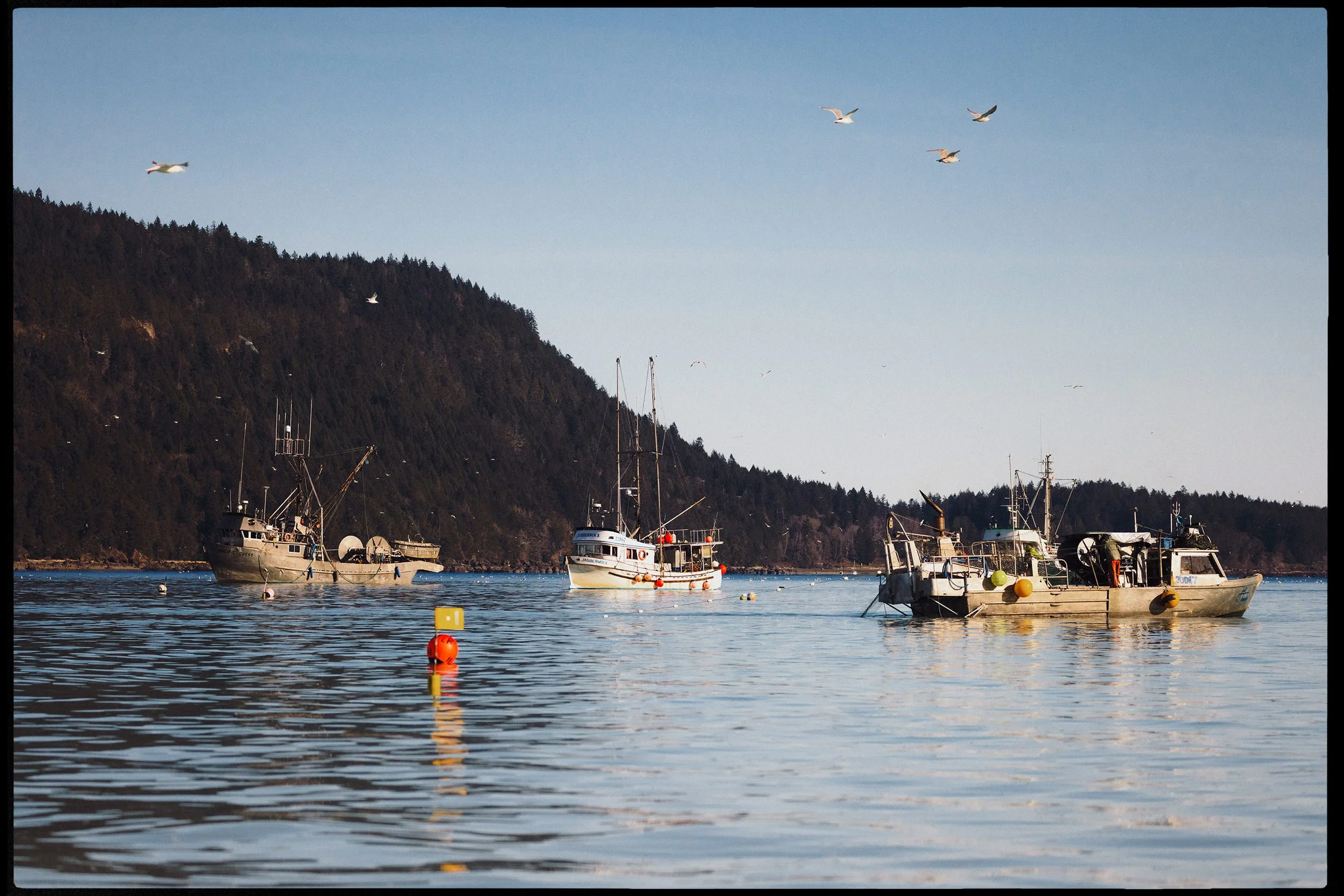 RFerand_20250306_R5_7226-Denman Island-HD.jpg
