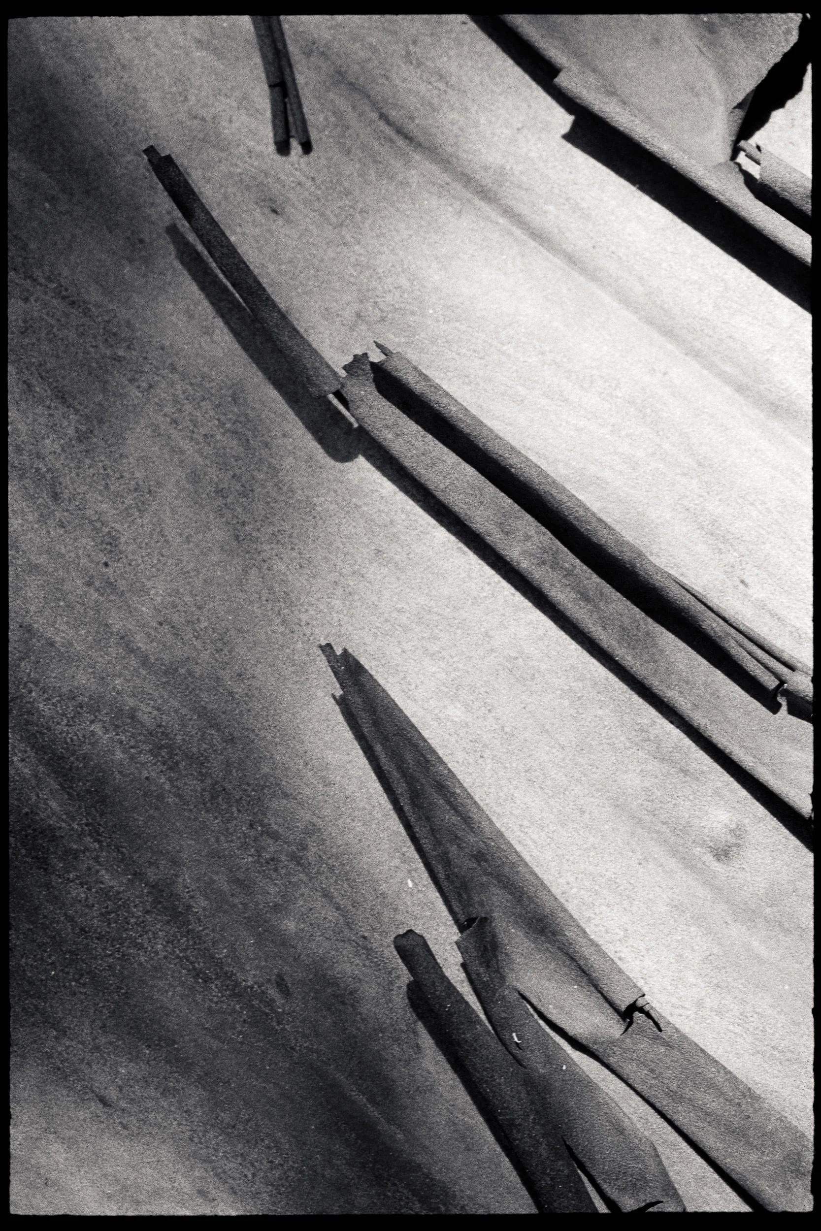 RFerand_BnW79_Elan7_FP4 (El800)_08-Details on Cable Bay Trail-SD.jpg