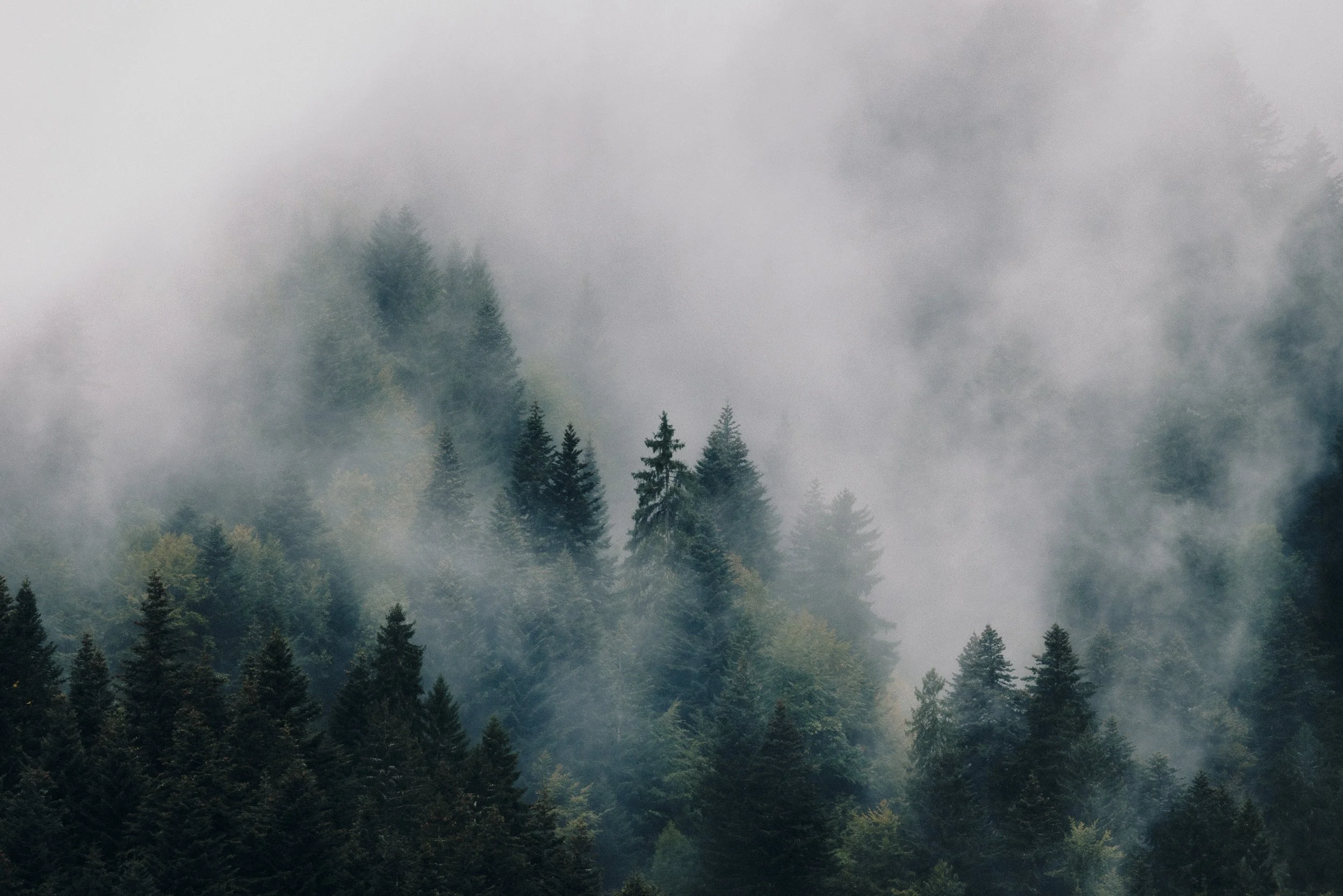 RFerand_20250922_R5_2862_Petit Bornand_SD_WEB.jpg