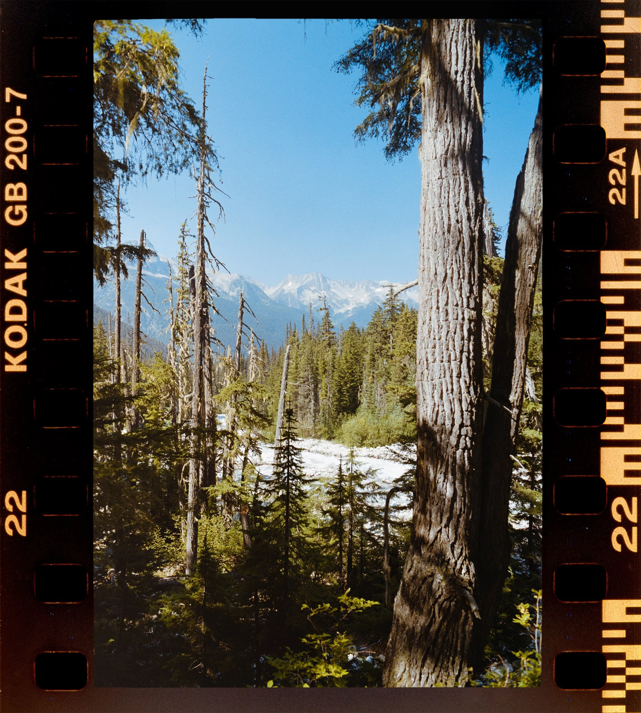 RFerand_C49_F3T_Gold200_IMG_0098_PS-Great Glacier Trail-HD.jpg