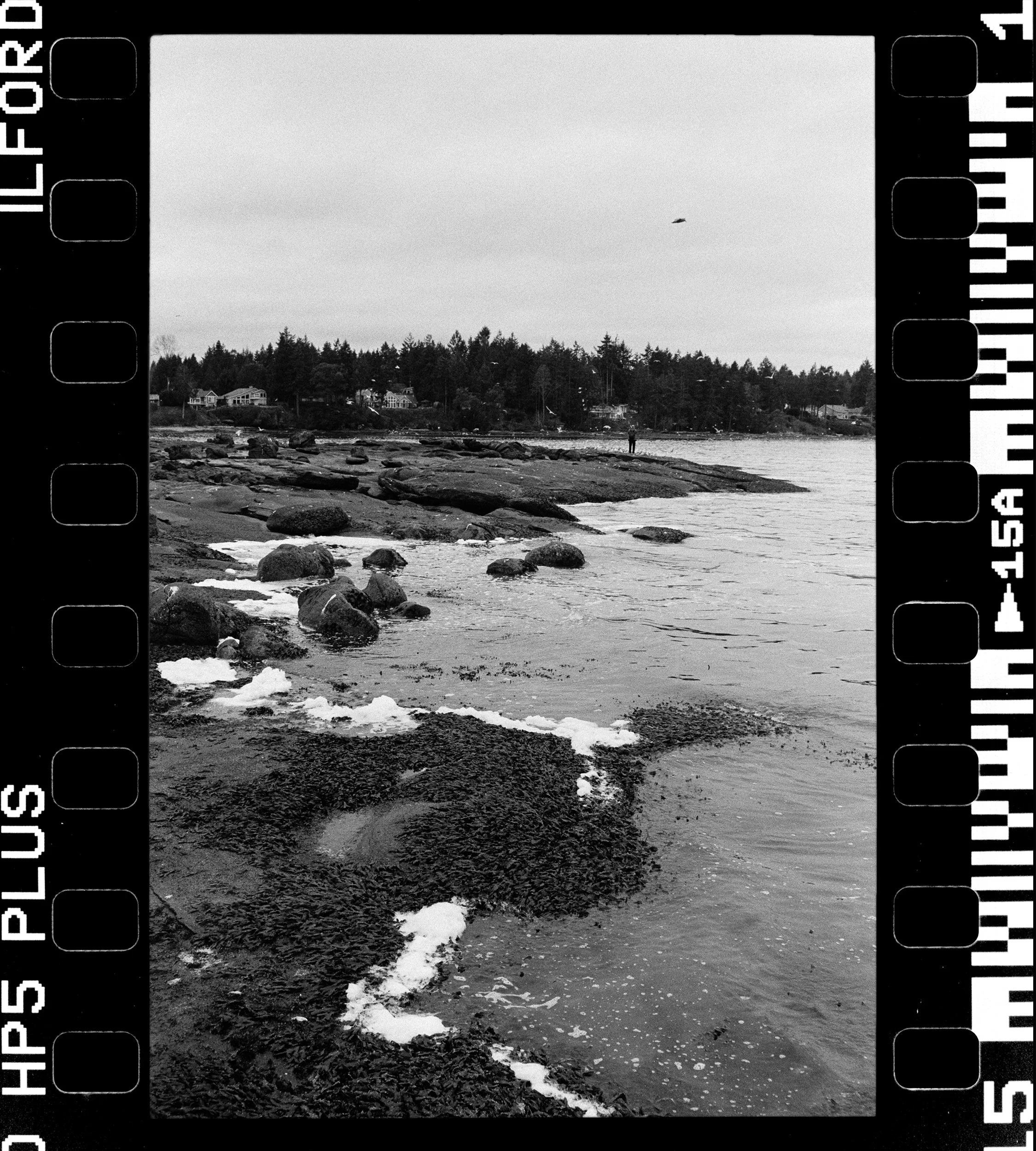 RFerand_BnW76_Elan7_HP5(800iso)_01-Herring Spawn - Norhwest Bay-HD.jpg