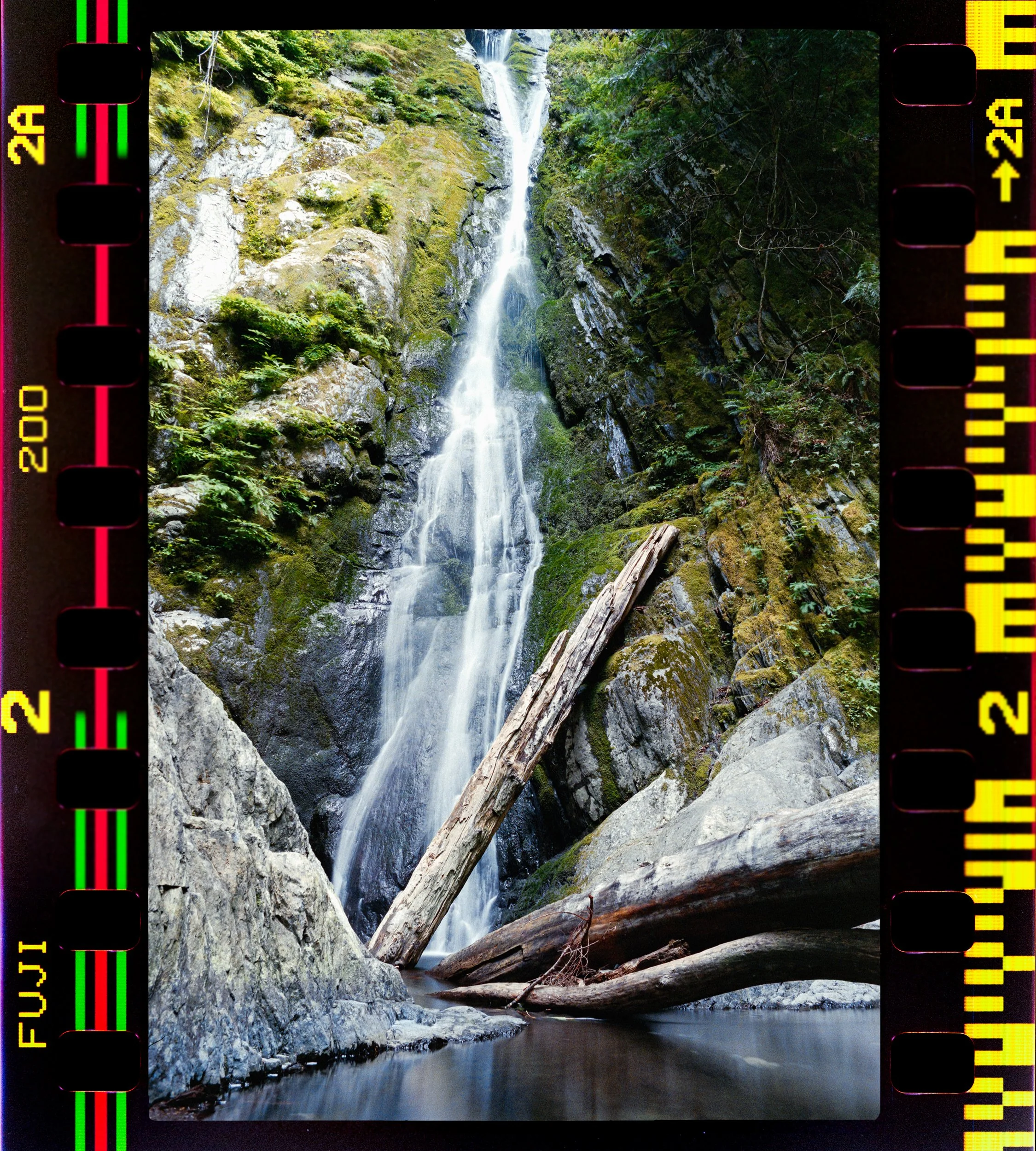 A scenic waterfall flowing through mossy rocks and fallen logs in a forested landscape.