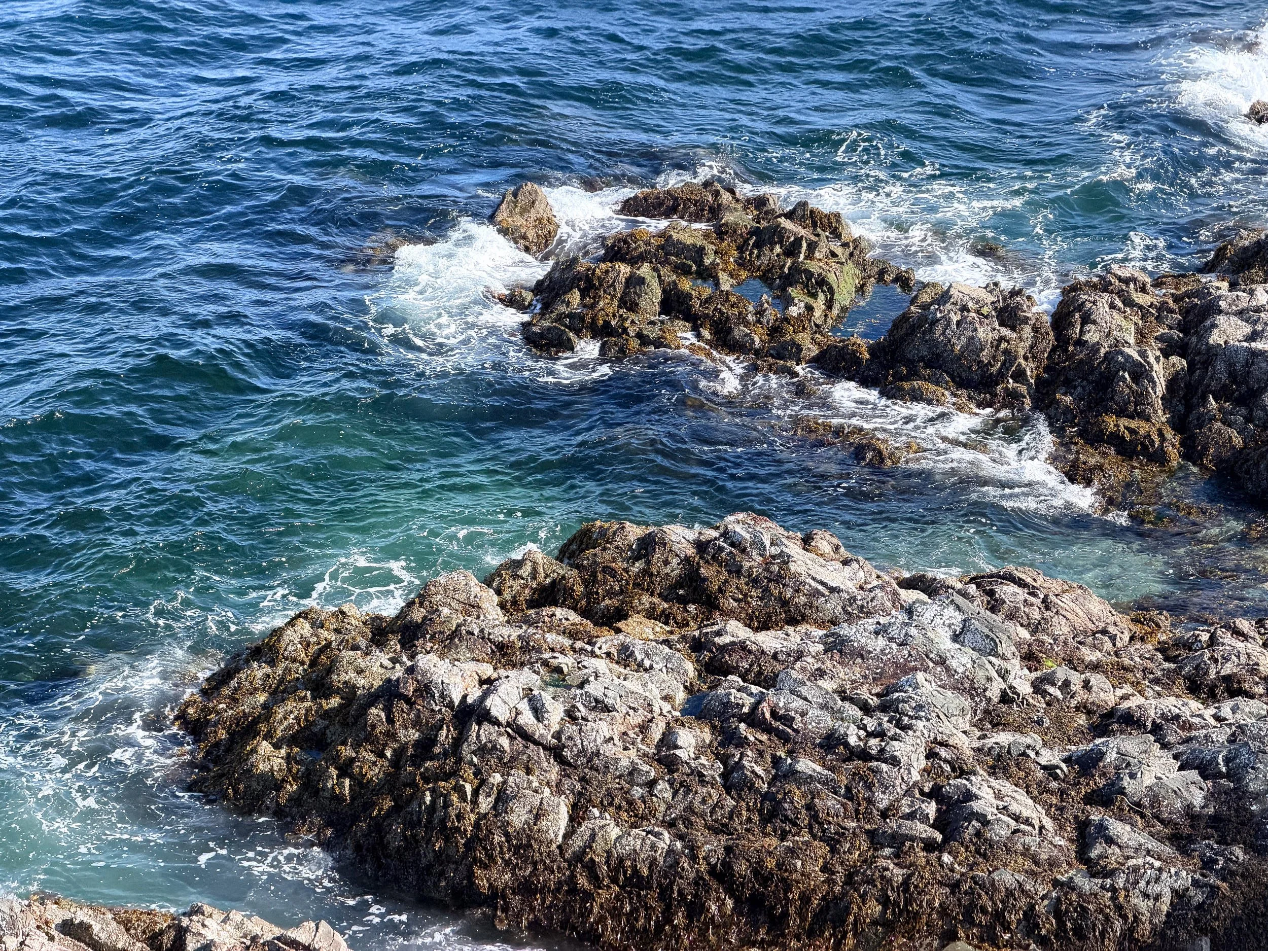 260901-RF-C1-4017-Pipers Lagoon-SD.jpg