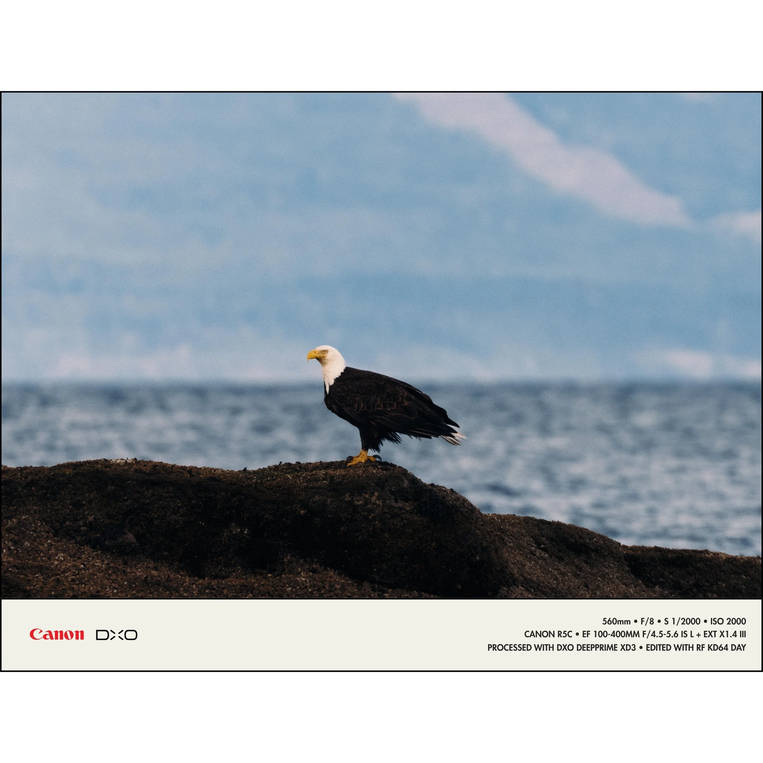 260415 RF-BLG PureRaw 6 Examples_2.jpg