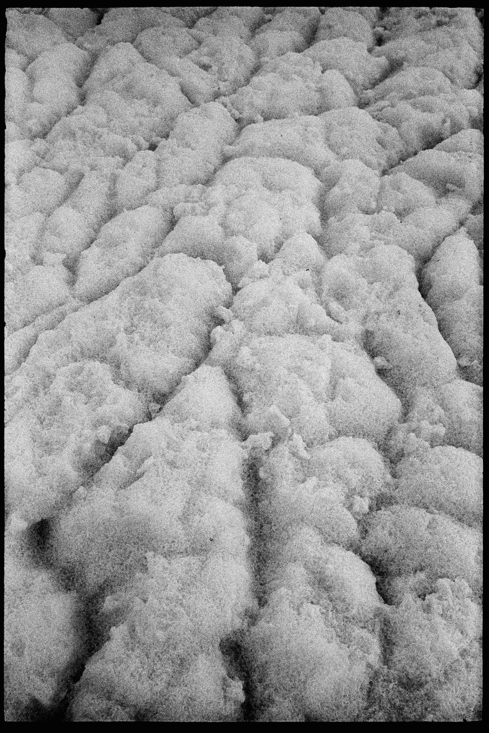 RFerand_BnW73_Elan7_HP5_25-Herring Spawn - Bowser-SD.jpg