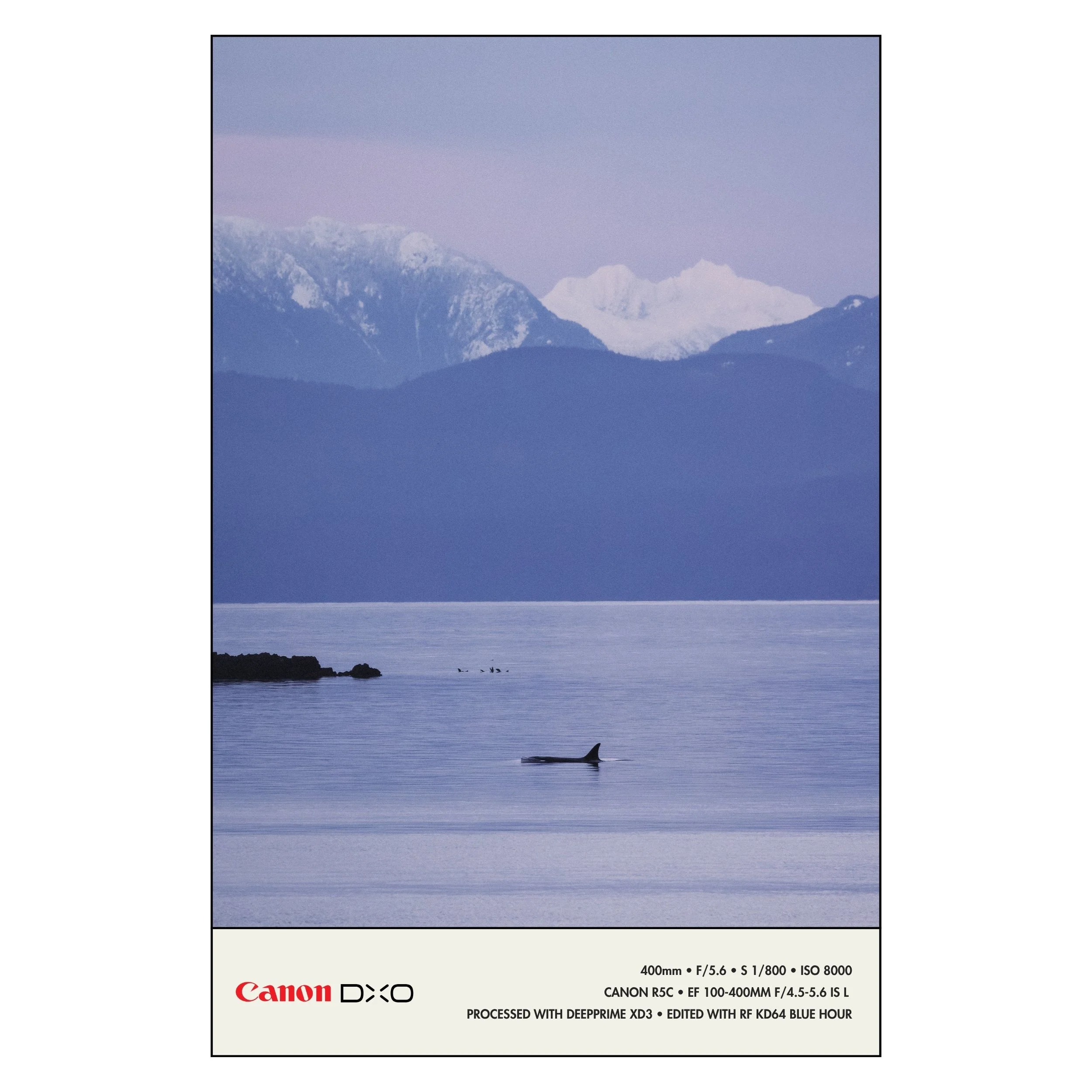 260415 RF-BLG PureRaw 6 Examples_7.jpg