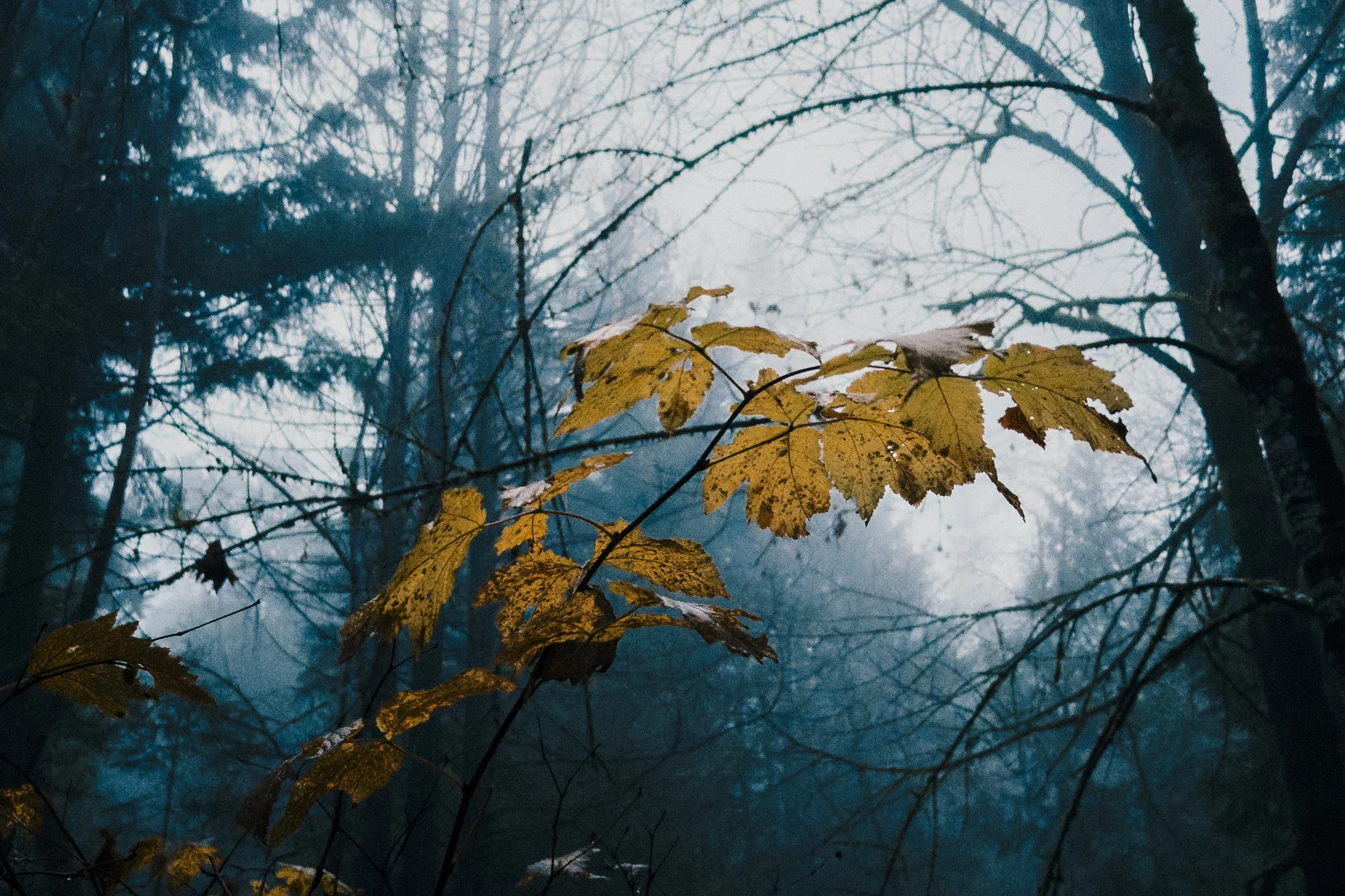 251212_RF_A1_iPhone 17 Pro_0940__SD_WEB.jpg