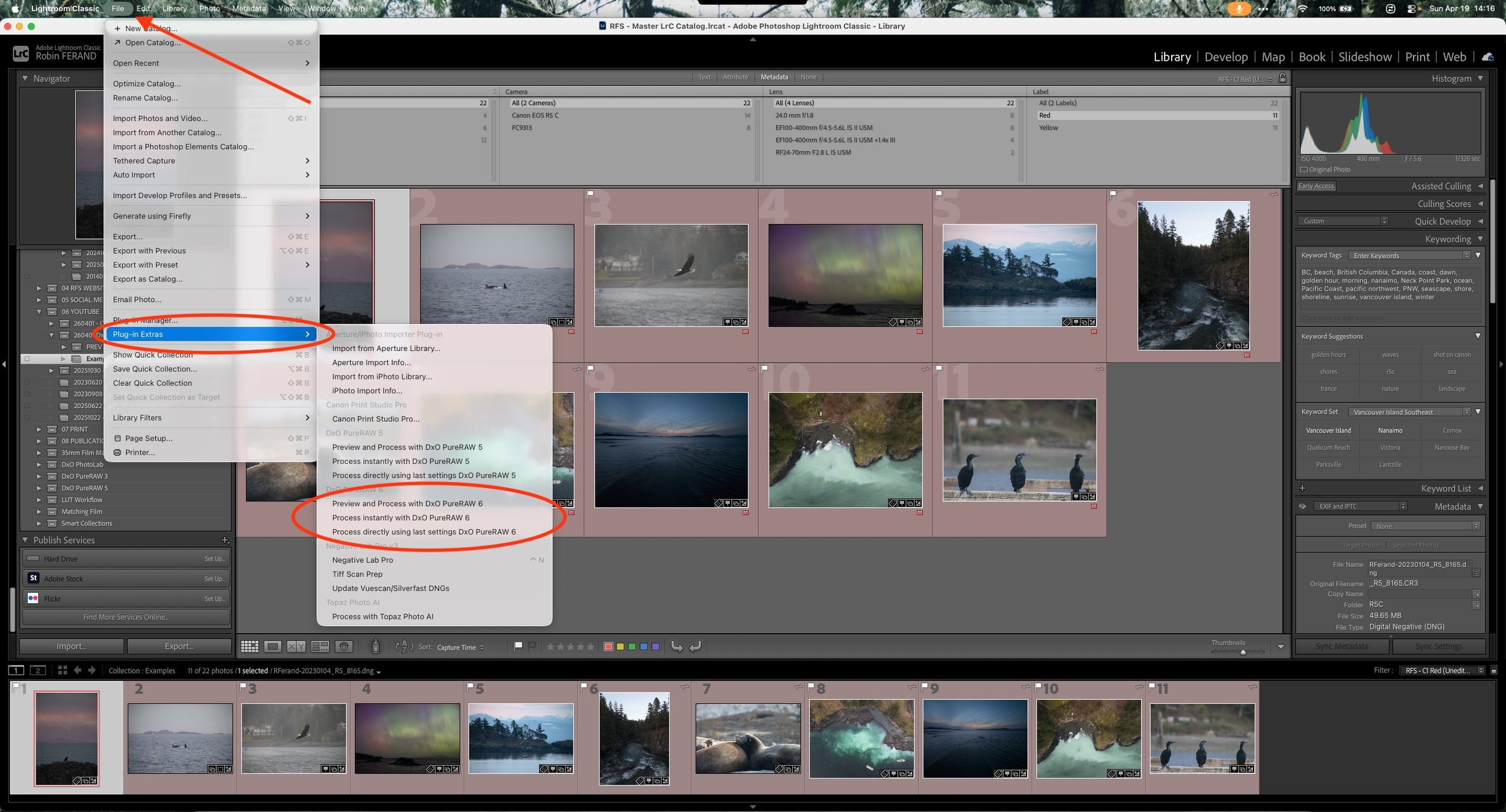 How to Use PureRaw Plugin in LrC.jpeg