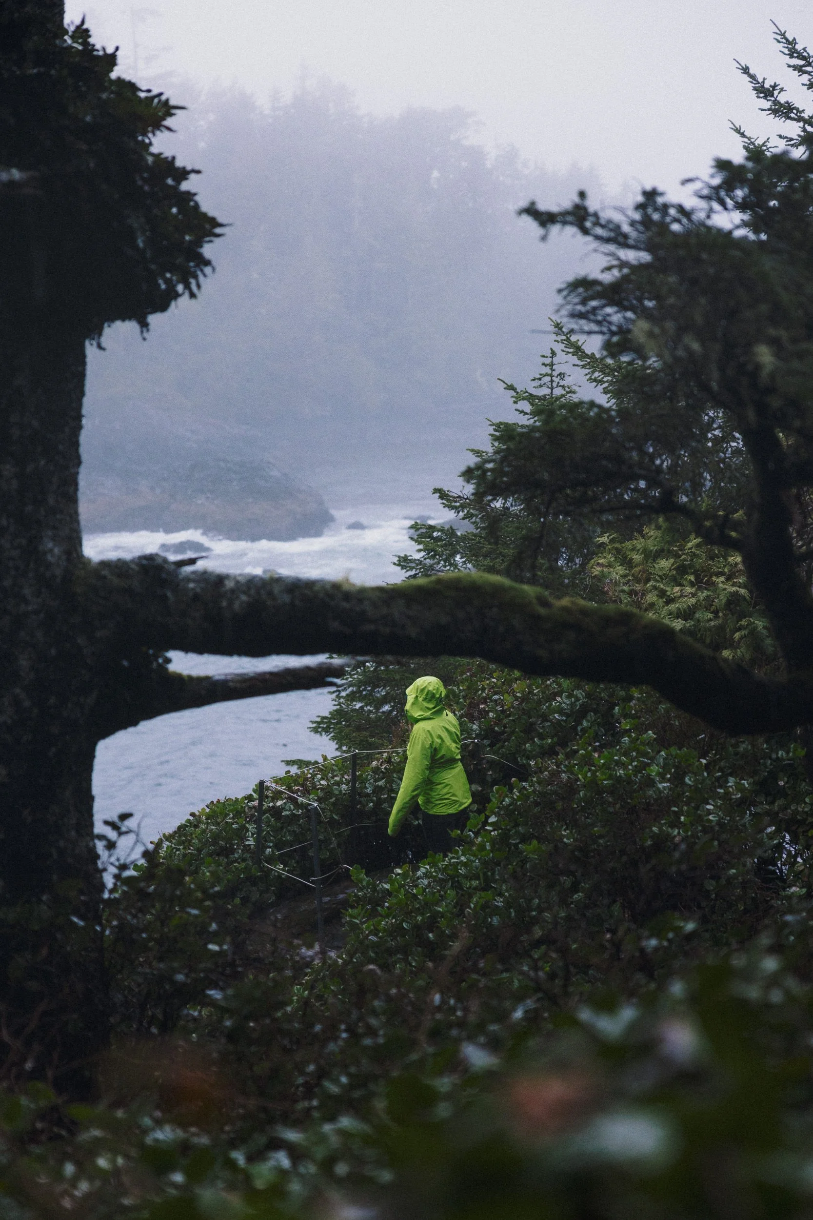 RFerand_20250323_R5_4505_Amphitrite Point, Ucluelet_SD_WEB.jpg