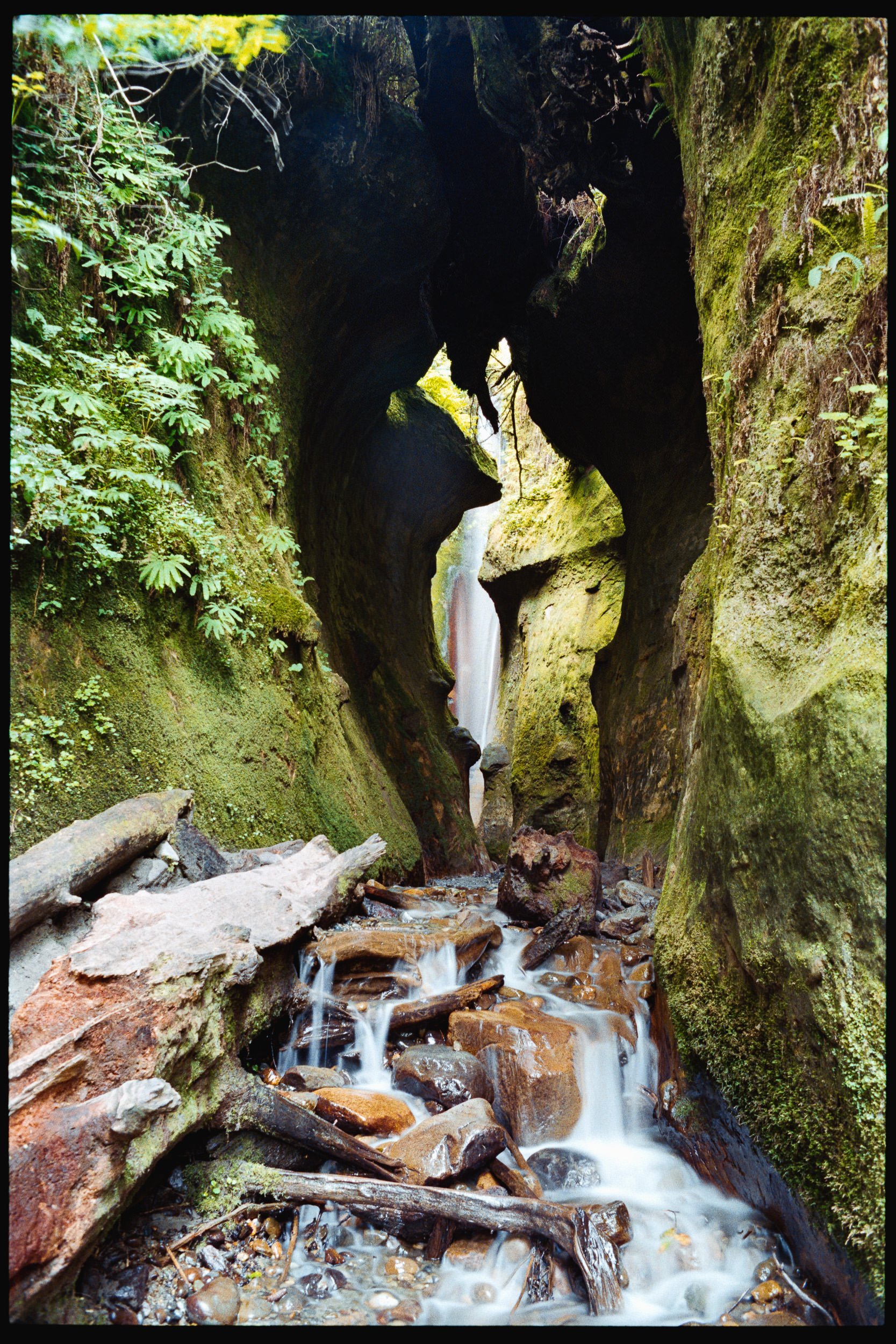 RFerand_C112-F3T-Superia200_17_Sombrio Beach_SD_WEB.jpg