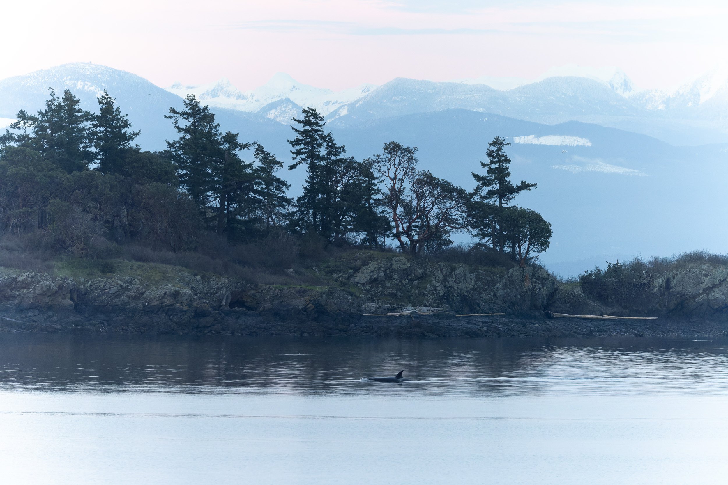 251229_RF_A1_Canon EOS R5 C_3693-DxO_DeepPRIME XD3--SD.jpg