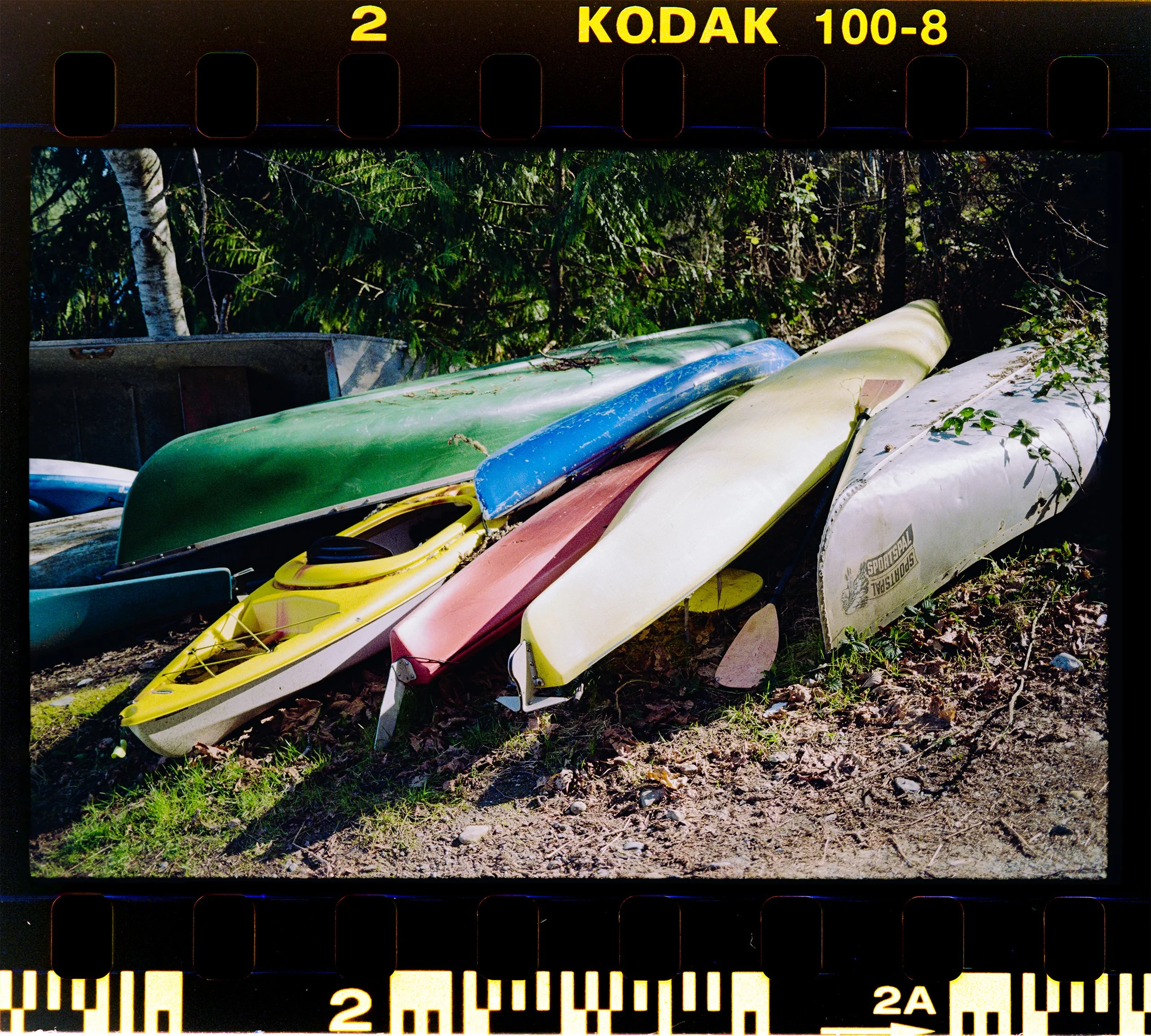 C133-Elan7-Kodacolor100-04-Walter Hook - Salt Spring Island-HD.jpg