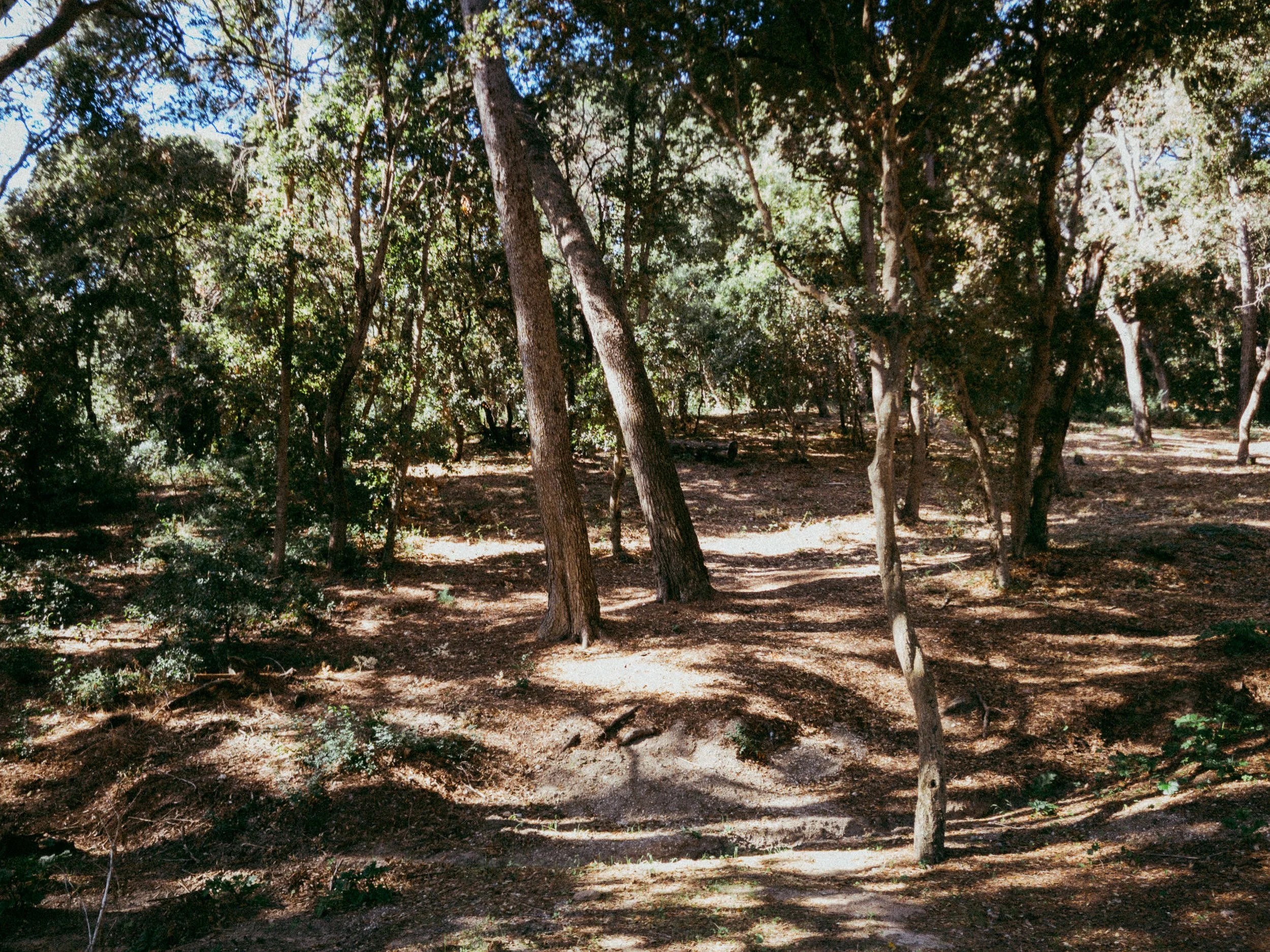 RFerand_20250918_IMG_0395_Plage des Darboussières_SD_WEB.jpg