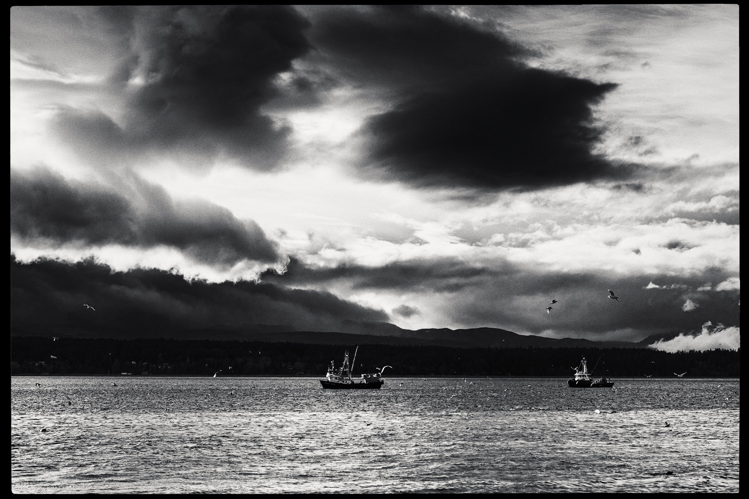 260307_RF_A_5586-Edit-Phipps Point - Hornby Island-HD.jpg