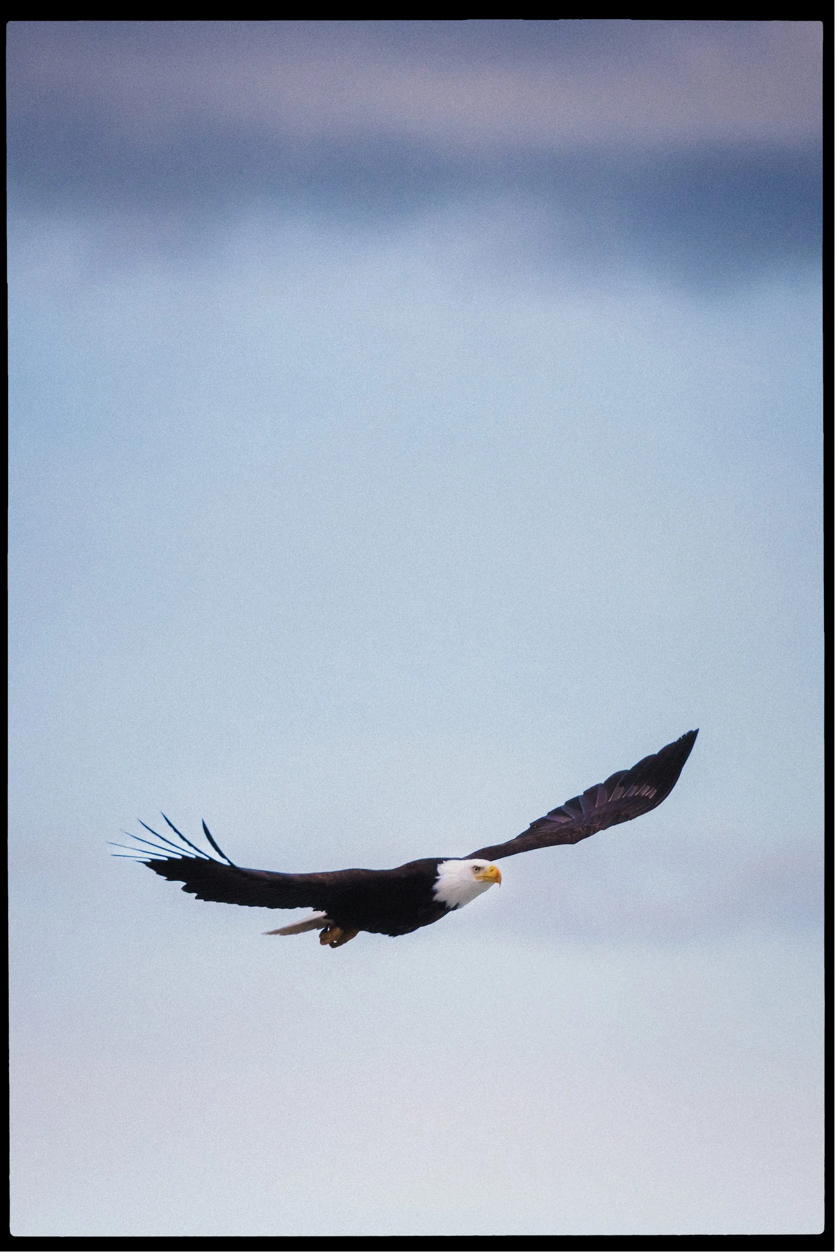 RFerand_20250318_R5_3181-Neck Point Park-HD.jpg