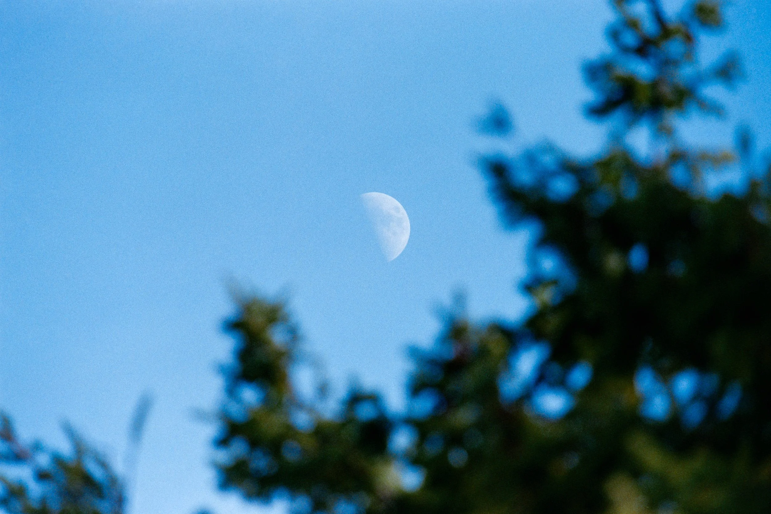 RFerand_C114-Elan7-Superia200_15_Moon - Neck Point_SD_WEB.jpg