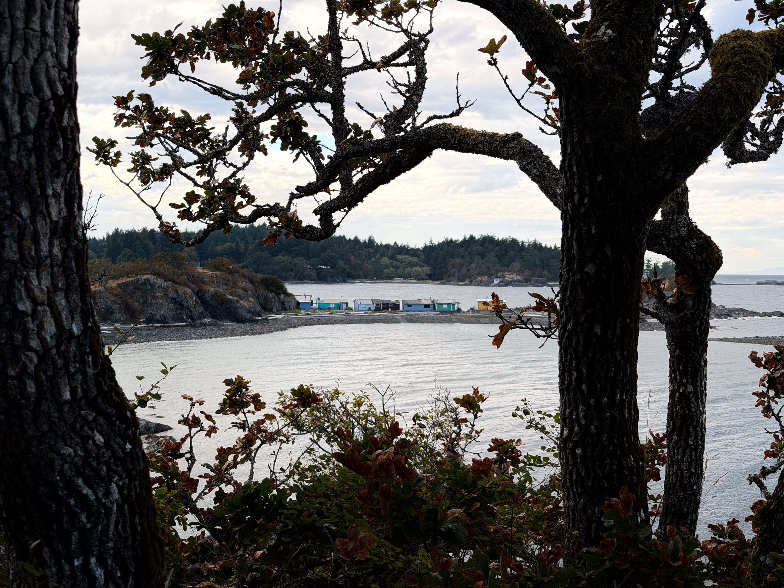 260901-RF-C1-4052-Pipers Lagoon-SD.jpg