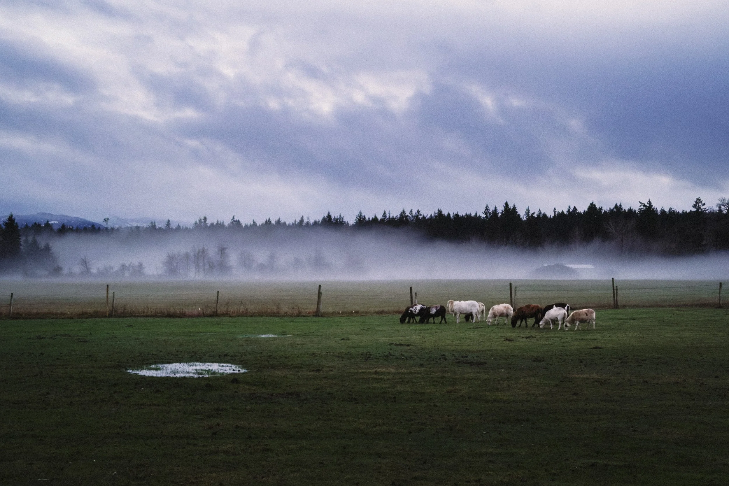 251220_RF_B1_iPhone 17 Pro_108-Parksville-SD.jpg