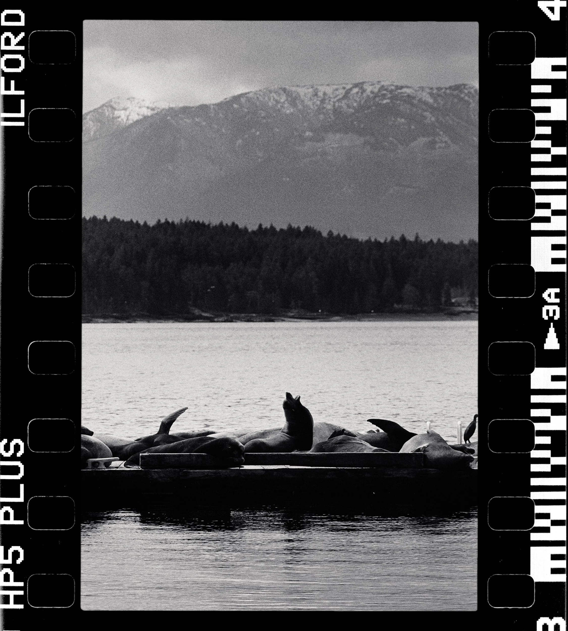 BnW86-Elan7-HP5(800)28-Ford-Cove-Hornby-HD.jpg