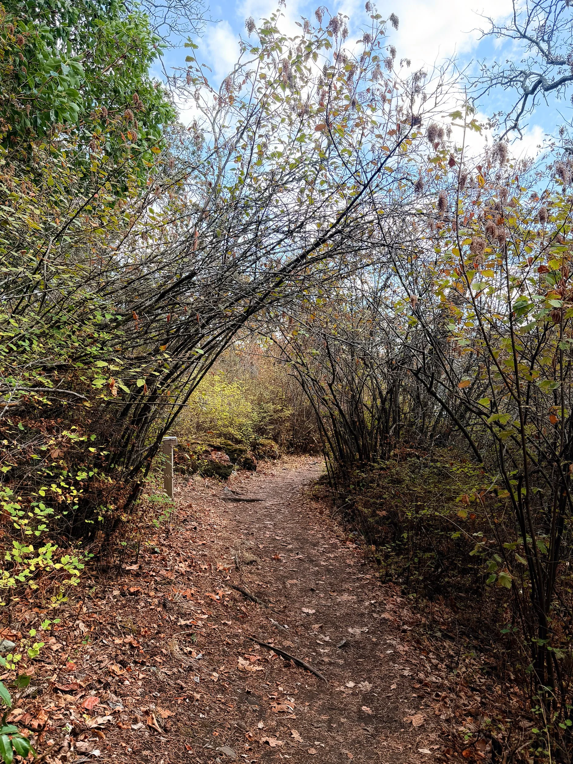 260901-RF-C1-4054-Pipers Lagoon-SD.jpg