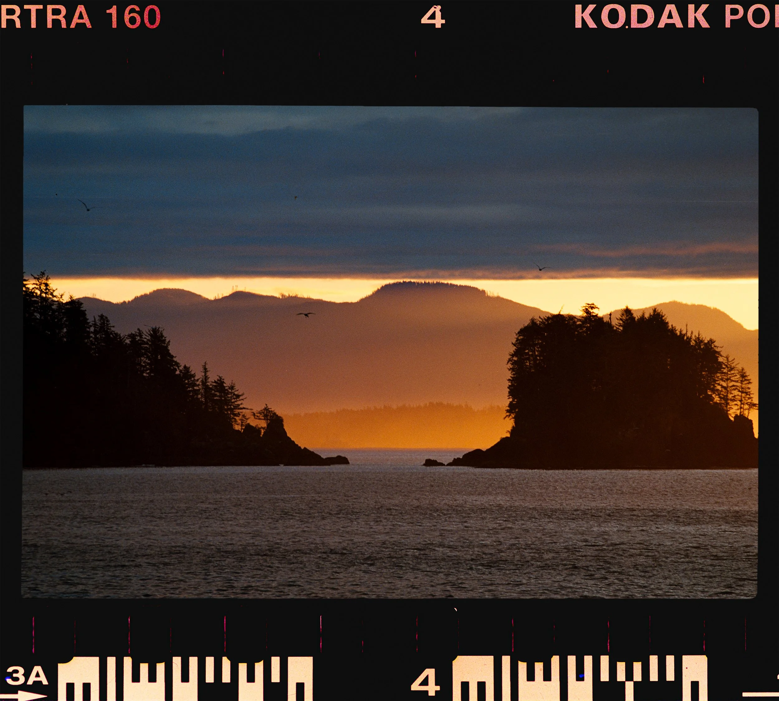 RFerand_C78_Elan7_Portra160_07-Pacific Wild Trail-HD.jpg
