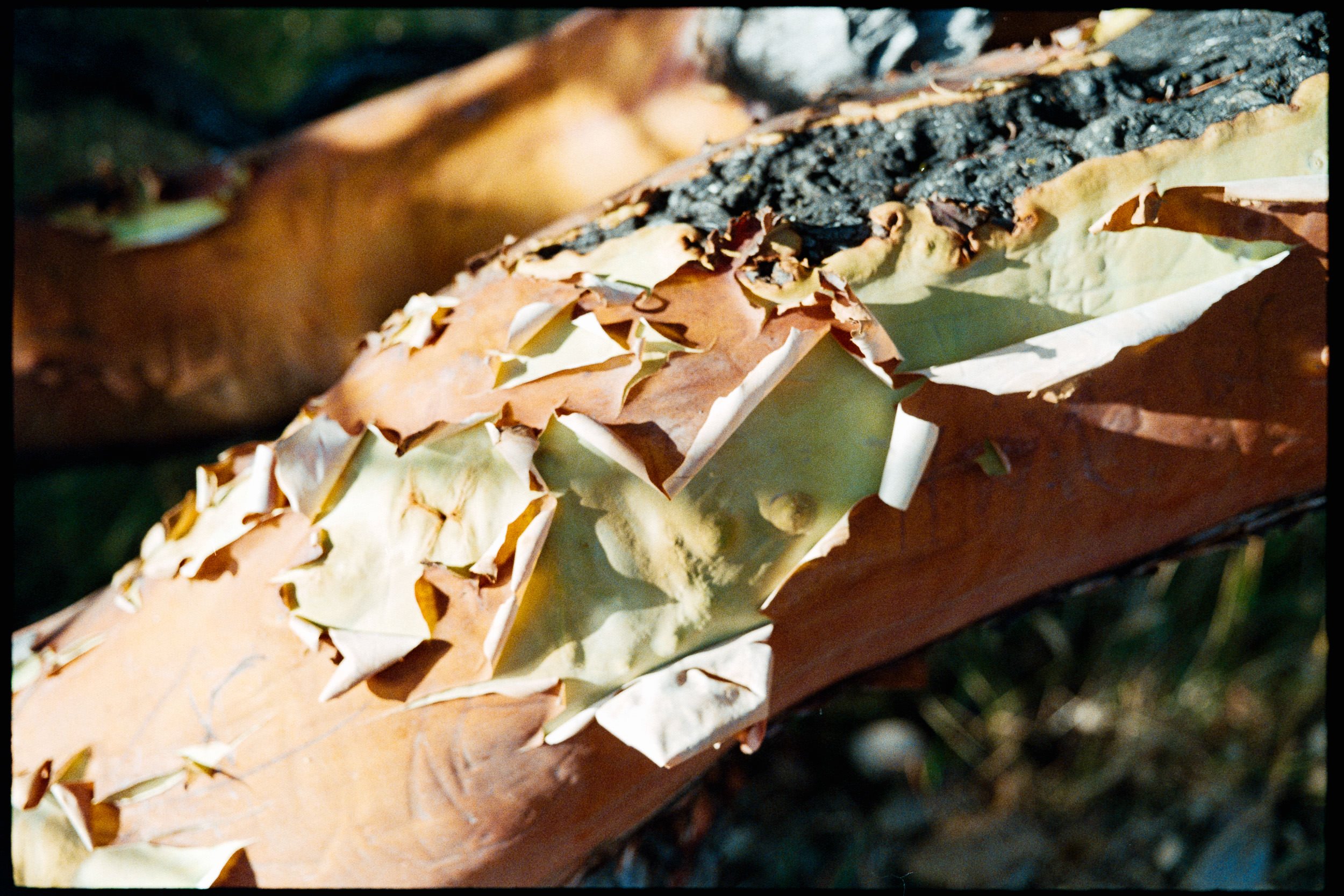 RFerand_C114-Elan7-Superia200_23_Neck Point_SD_WEB.jpg