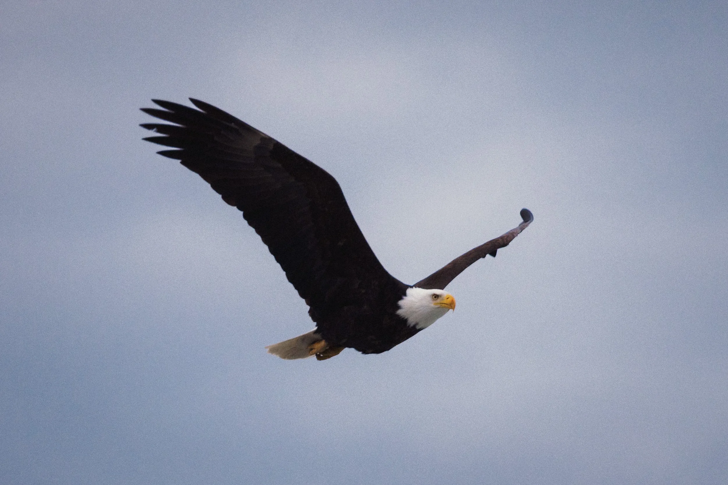 RFerand_20250318_R5_3184_Neck Point Park_SD_WEB.jpg