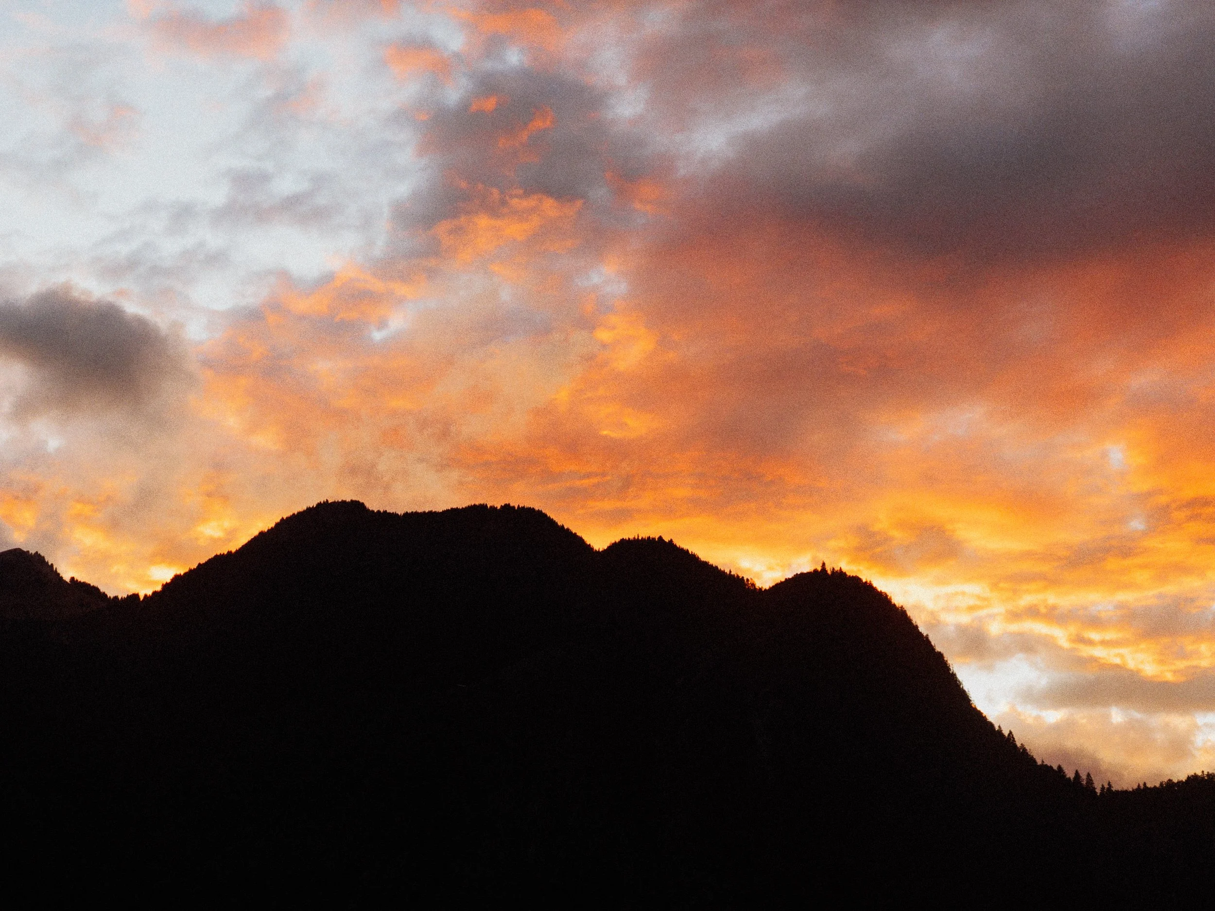 RFerand_20250922_IMG_0427_Petit Bornand_SD_WEB.jpg