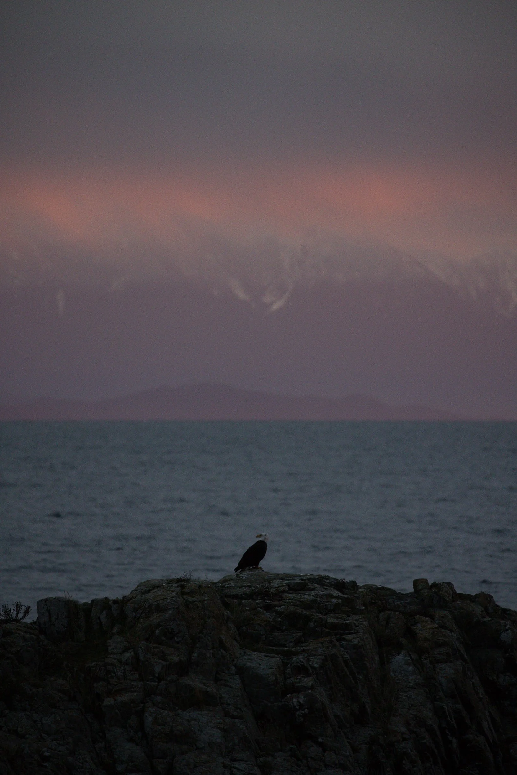 RFerand-20230104_R5_8165-Sunrise from Neck Point Park-SD.jpg