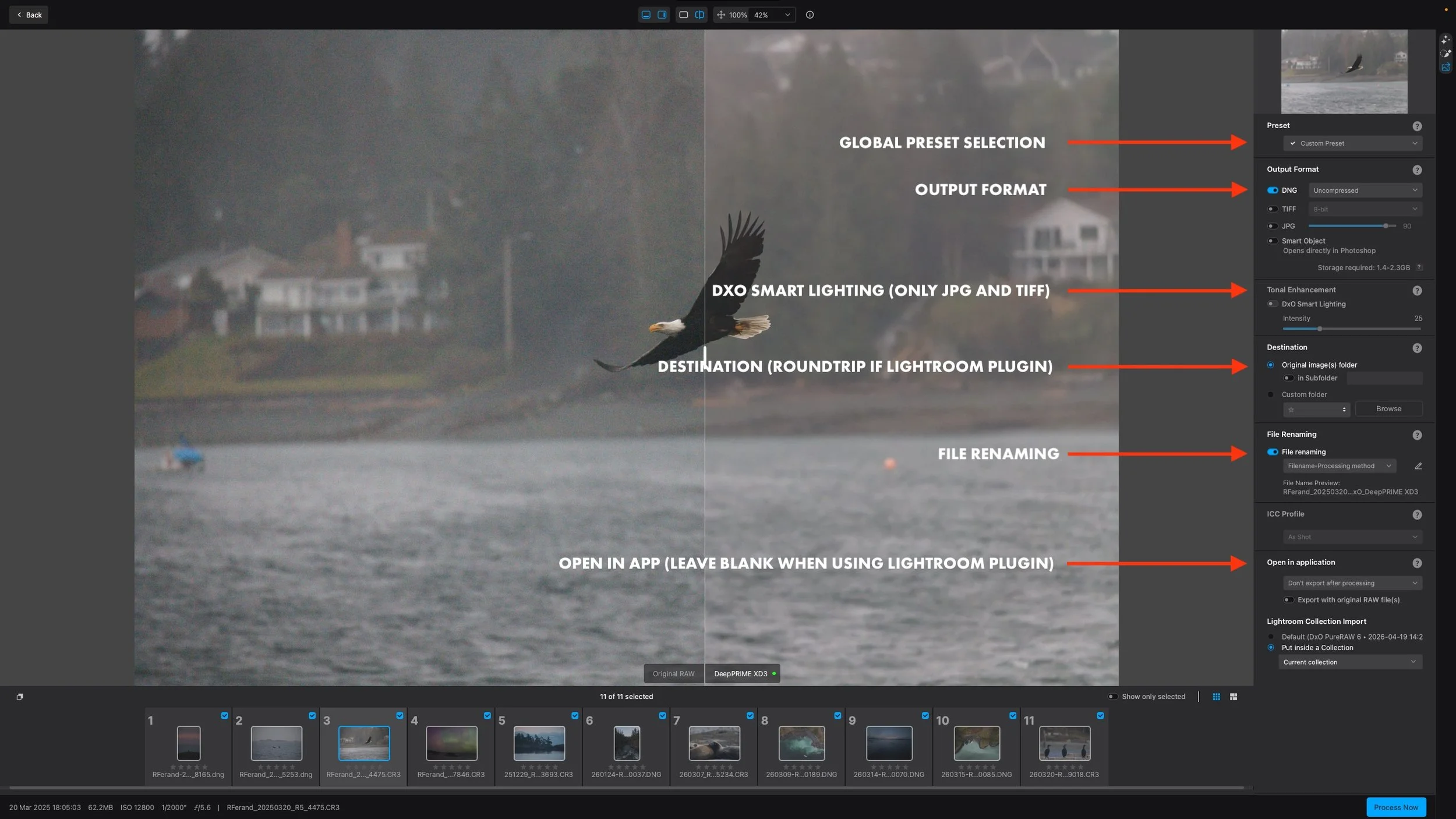 DxO PureRaw 6 Interface_3.jpeg
