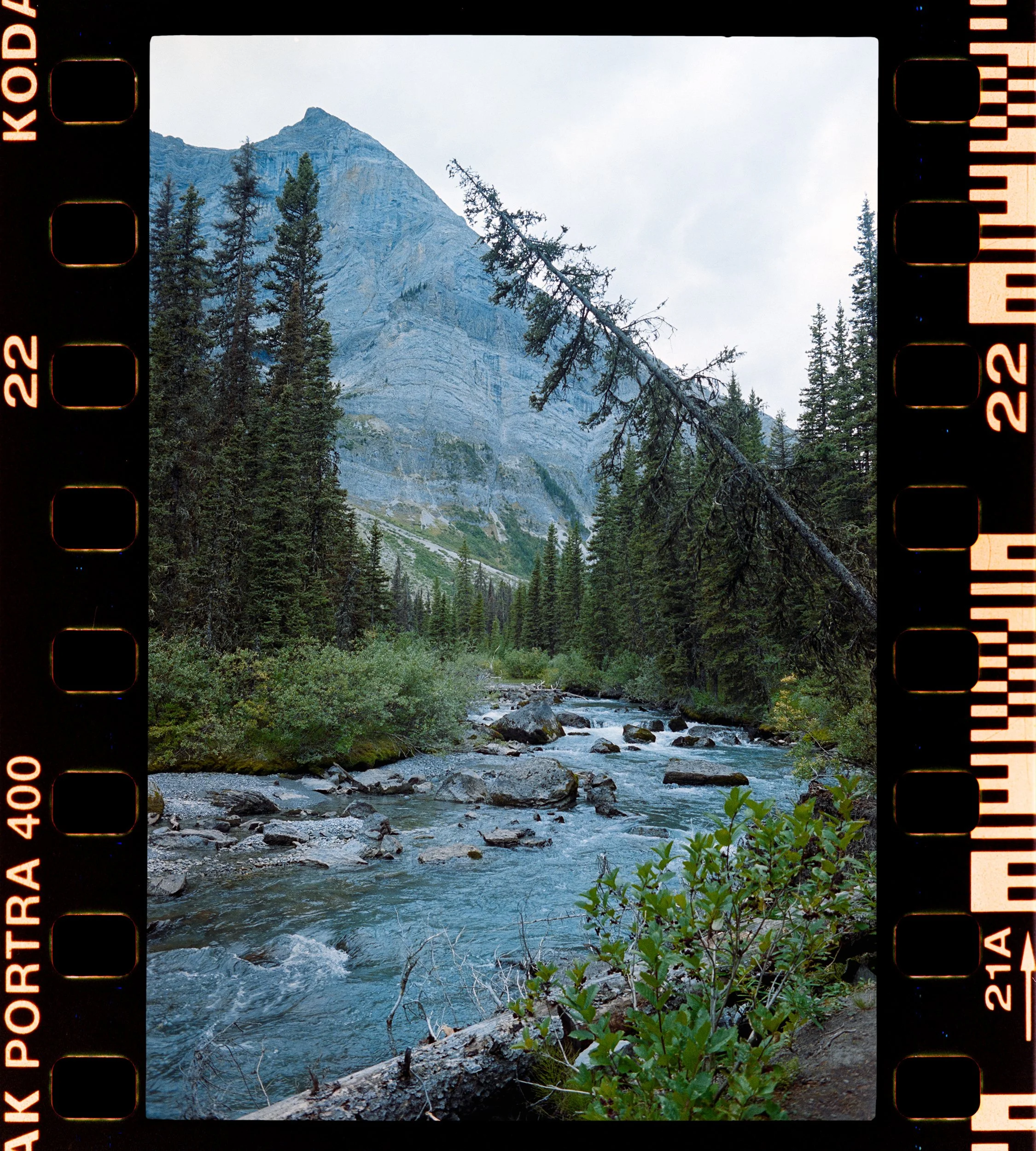 RFerand_C32_SRT101_Portra400_30-Upper Kananaskis Lake-HD.jpg