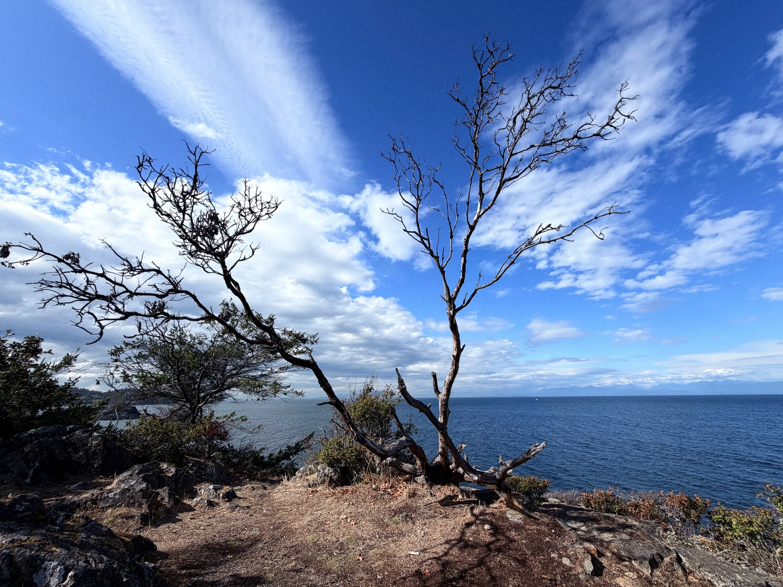 260901-RF-C1-4018-Pipers Lagoon-SD.jpg