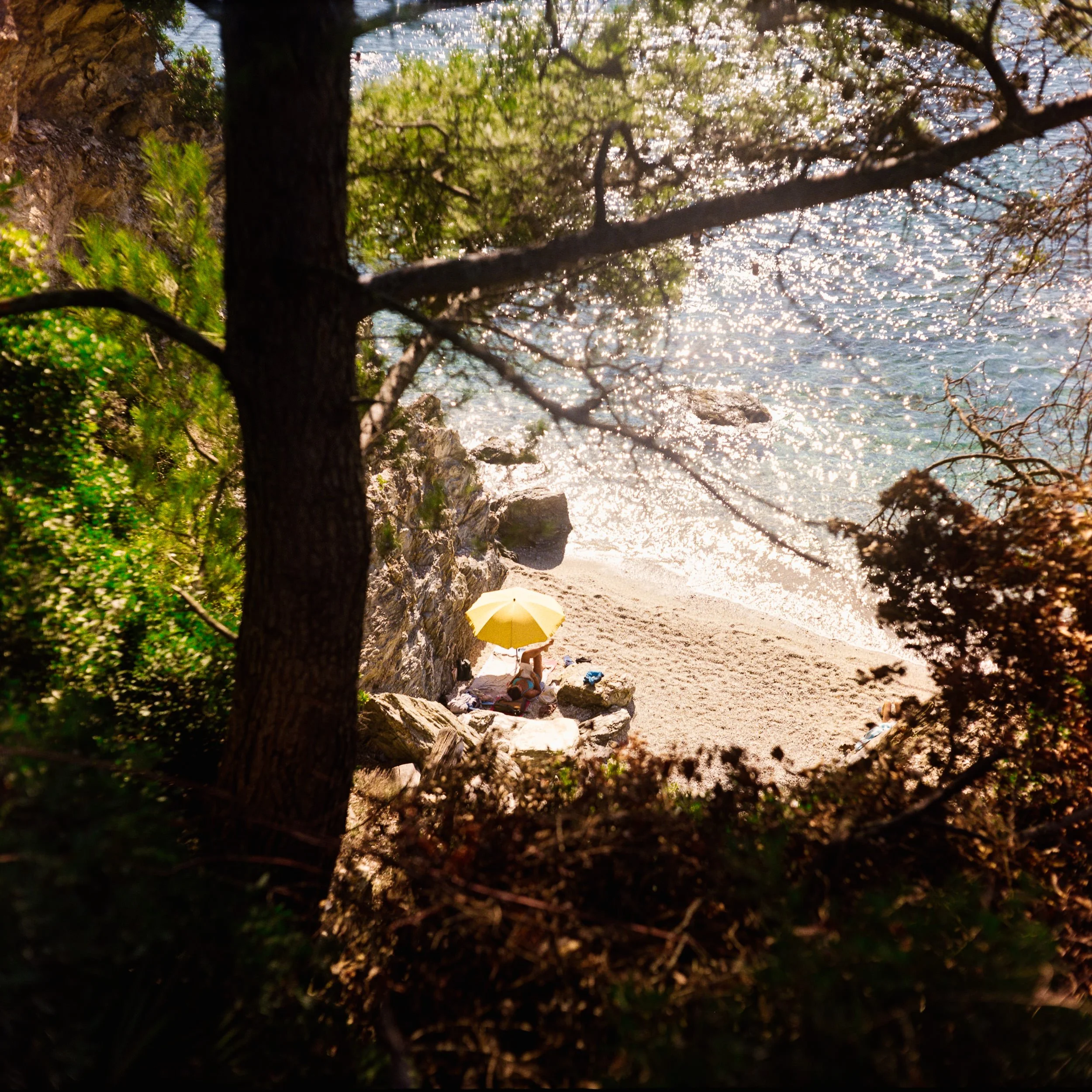 RFerand_C123_Yahsica-Mat_Gold200_12_Plage des Darboussières_SD_WEB.jpg