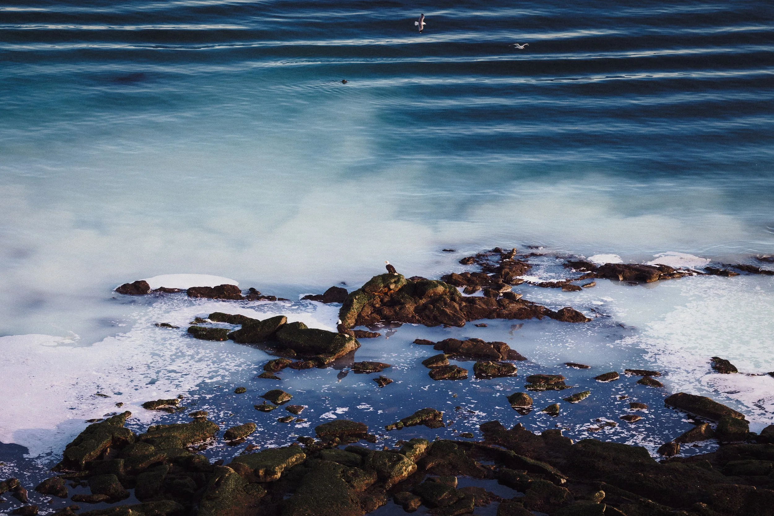 RFerand_20250306_R5_7393_Denman Island_SD_WEB.jpg