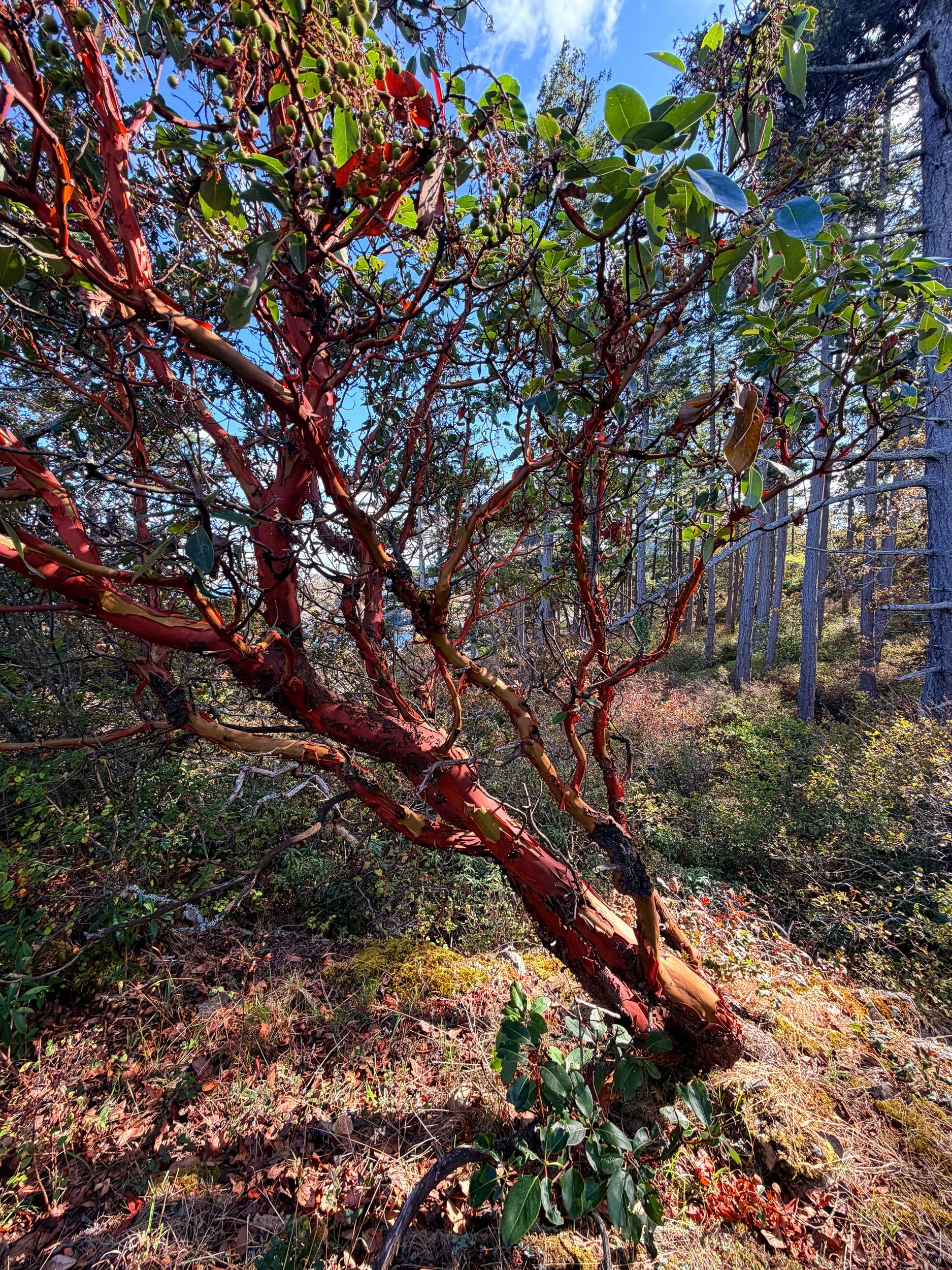 260901-RF-C1-4023-Pipers Lagoon-SD.jpg