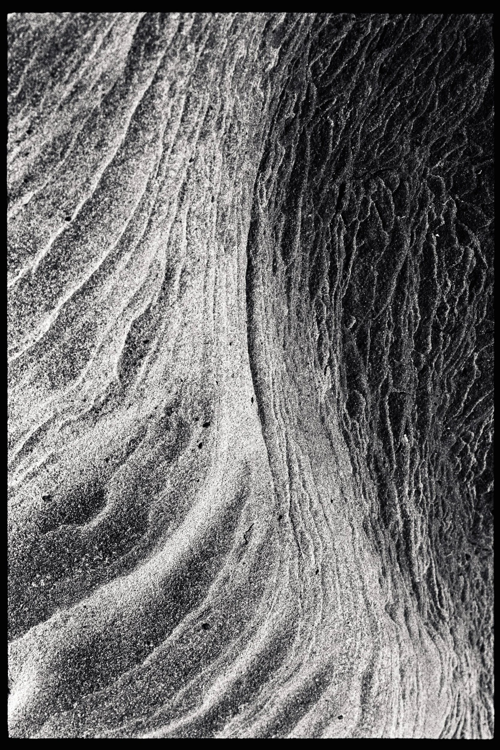 RFerand_BnW79_Elan7_FP4 (El800)_34-Details from Nanoose Bay-SD.jpg