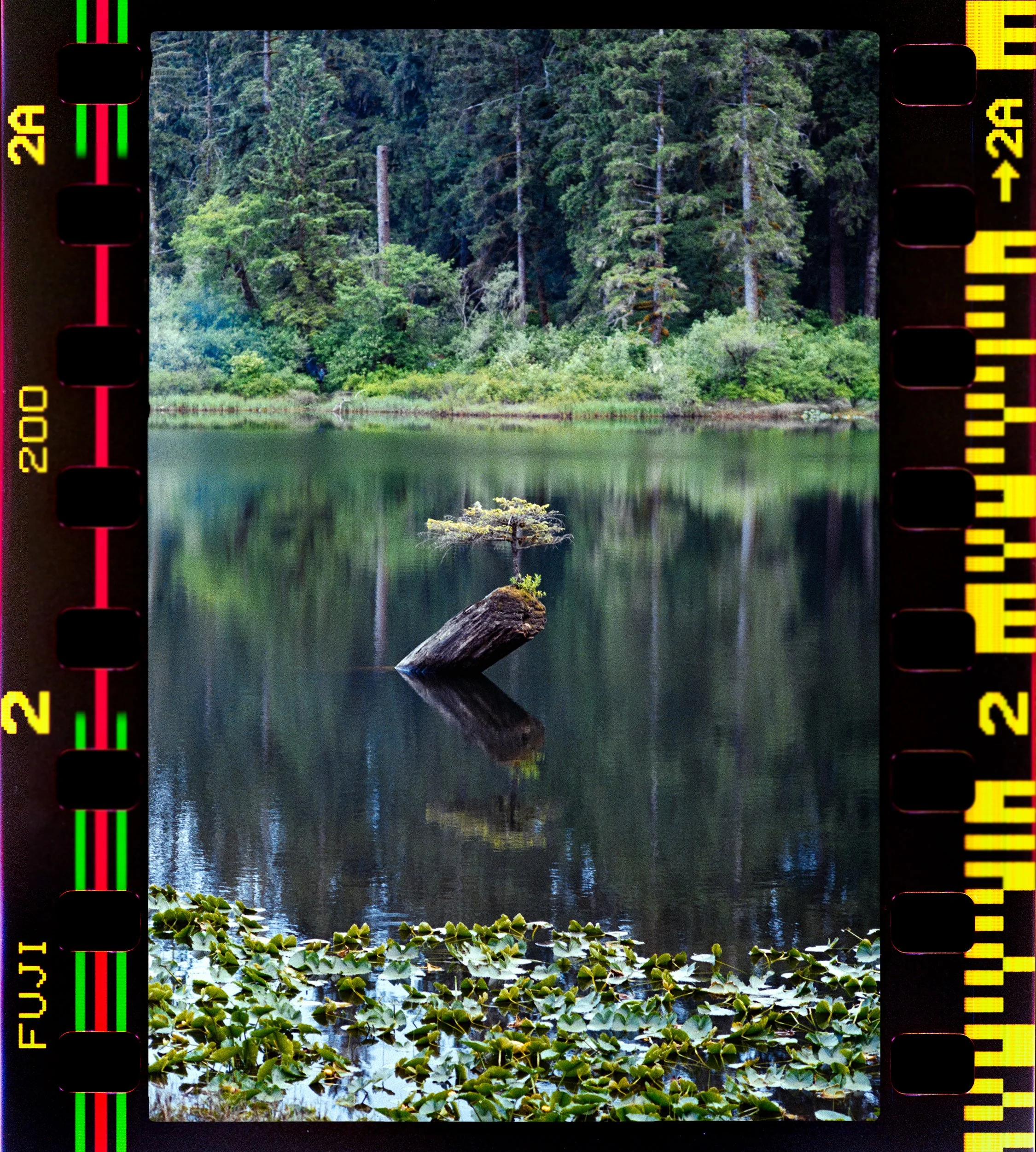 RFerand_C112-F3T-Superia200_23-Edit-Port Renfrew-HD.jpg