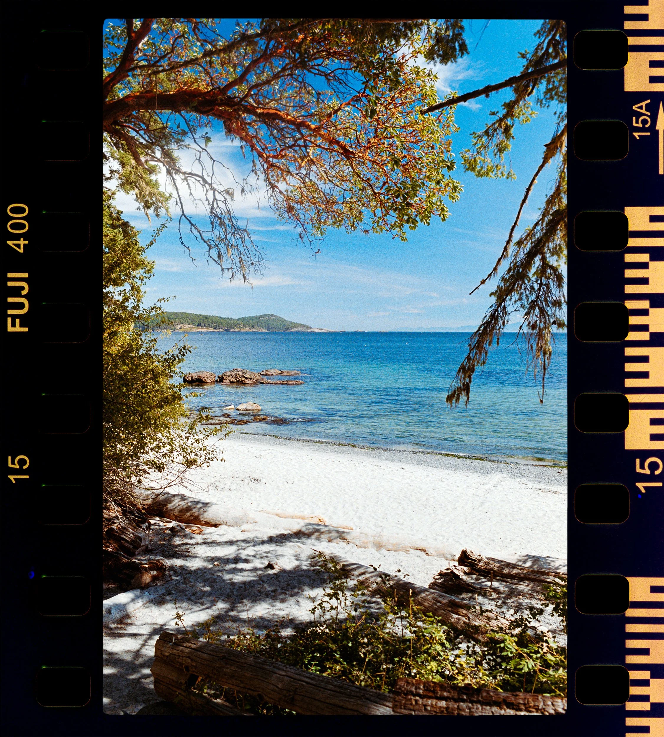 RFerand_C70_F3T_Fuji400_07-East Sooke-HD.jpg