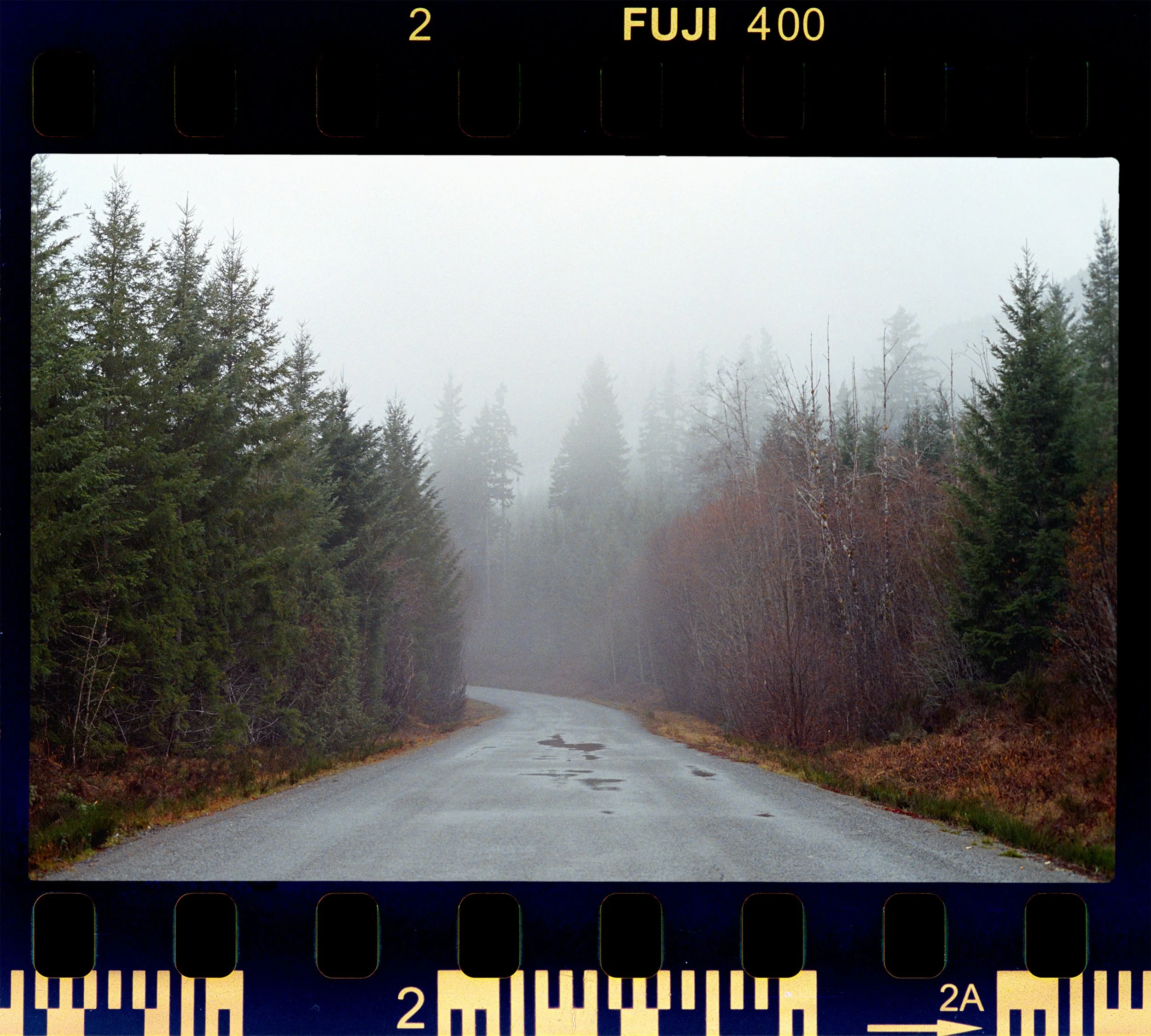 RFerand_C76_SRT101_Fuji400_29-Pacific Marine Road-HD.jpg